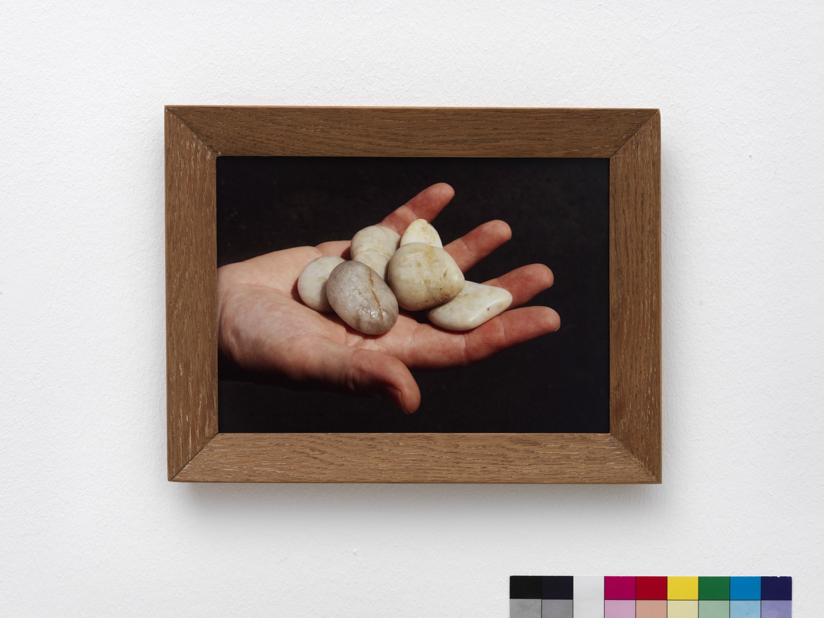 Exhibition view Within Reach of Hand or Eye, 2012 K21 Kunstsammlung Nordrhein-Westfalen, Düsseldorf Photo © Achim Kukulies