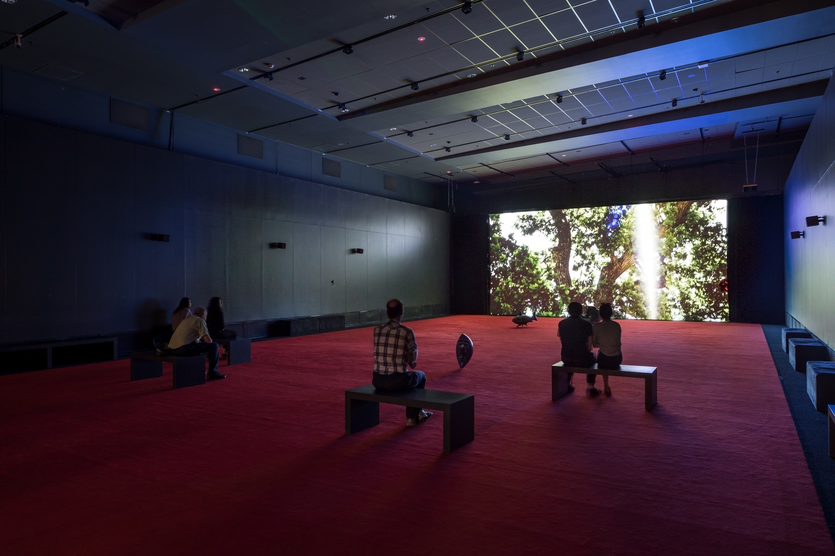 My Room is Another Fish Bowl, 2016 Mylar and helium Photo © Andrew Curtis