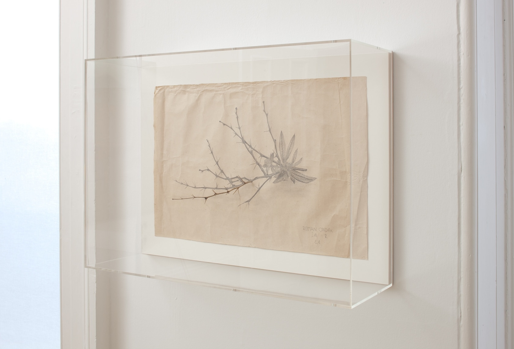 Exhibition view Some Thing, 2013 The Common Guild, Glasgow Photo © Ruth Clark