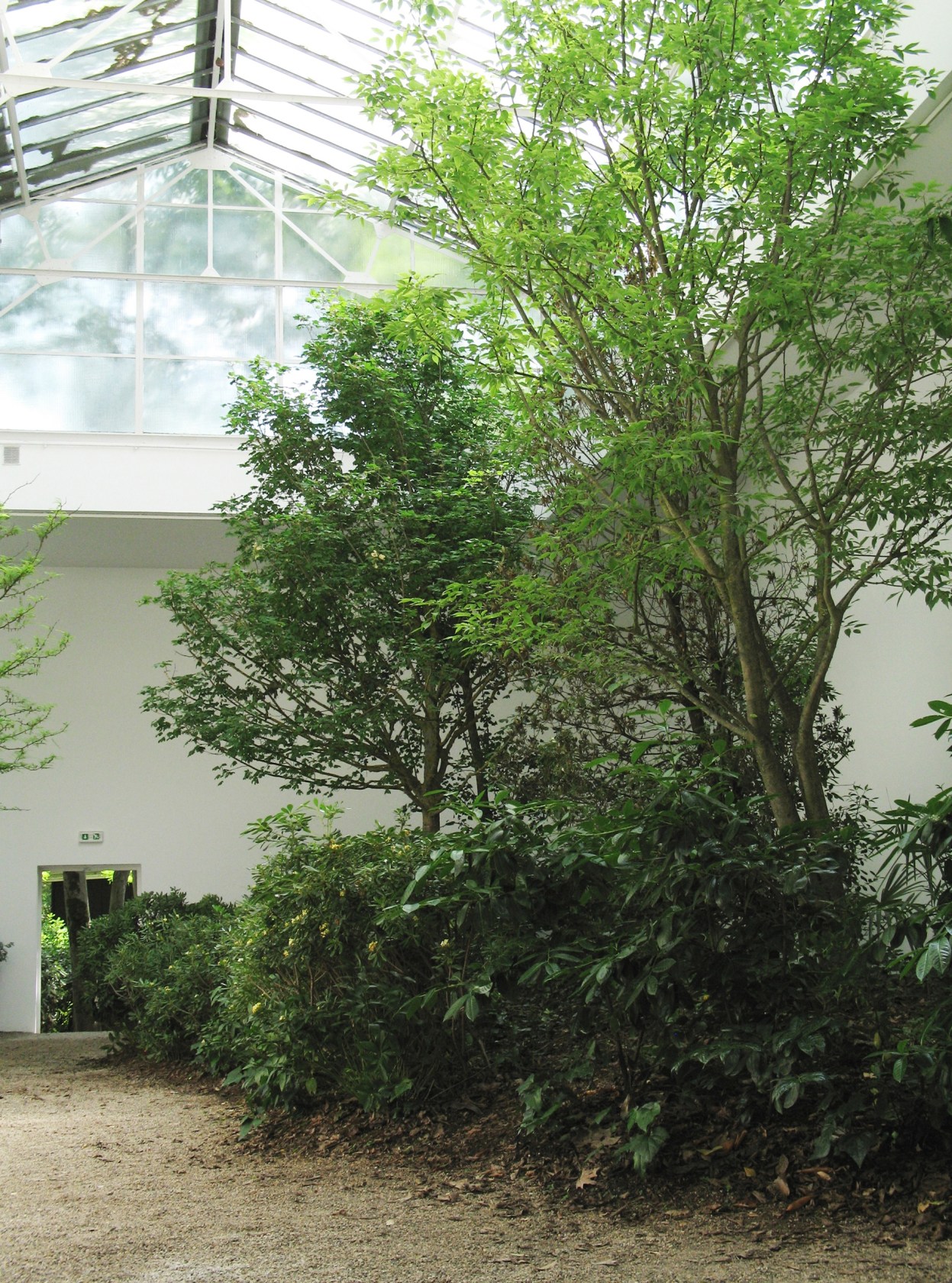 Exhibition view Loop, 2009 53rd Venice Biennale, Czech and Slovak Pavilion Photo &copy; Roman Ondak