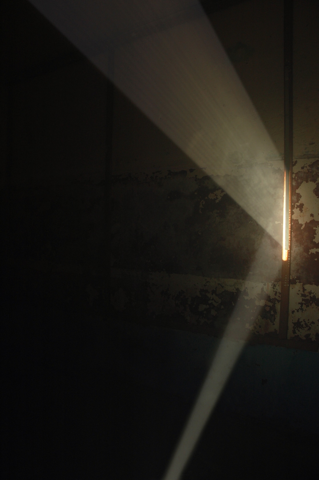 Bicho de nariz delicado, 2013 Two slide projectors, unique slides, mirrors, smoke, gilded canvas, phasmid Photo © Daniel Steegmann Mangrané