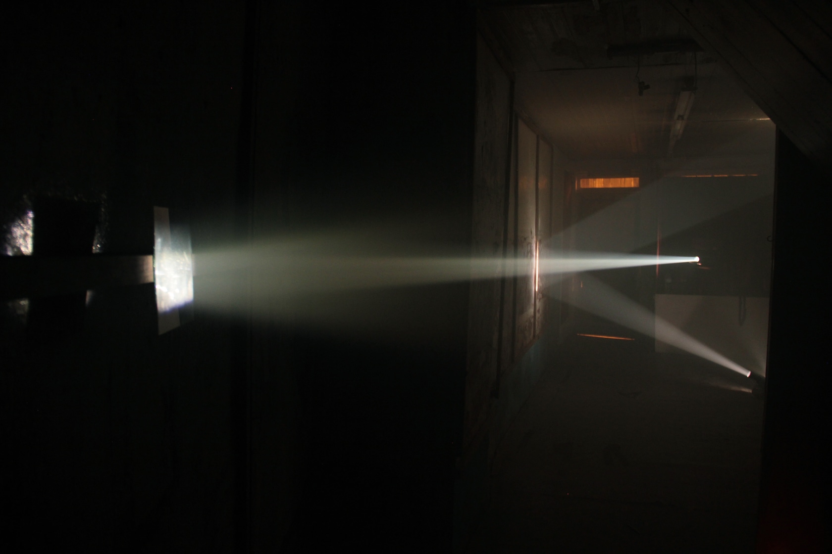 Bicho de nariz delicado, 2013 Two slide projectors, unique slides, mirrors, smoke, gilded canvas, phasmid Photo © Daniel Steegmann Mangrané