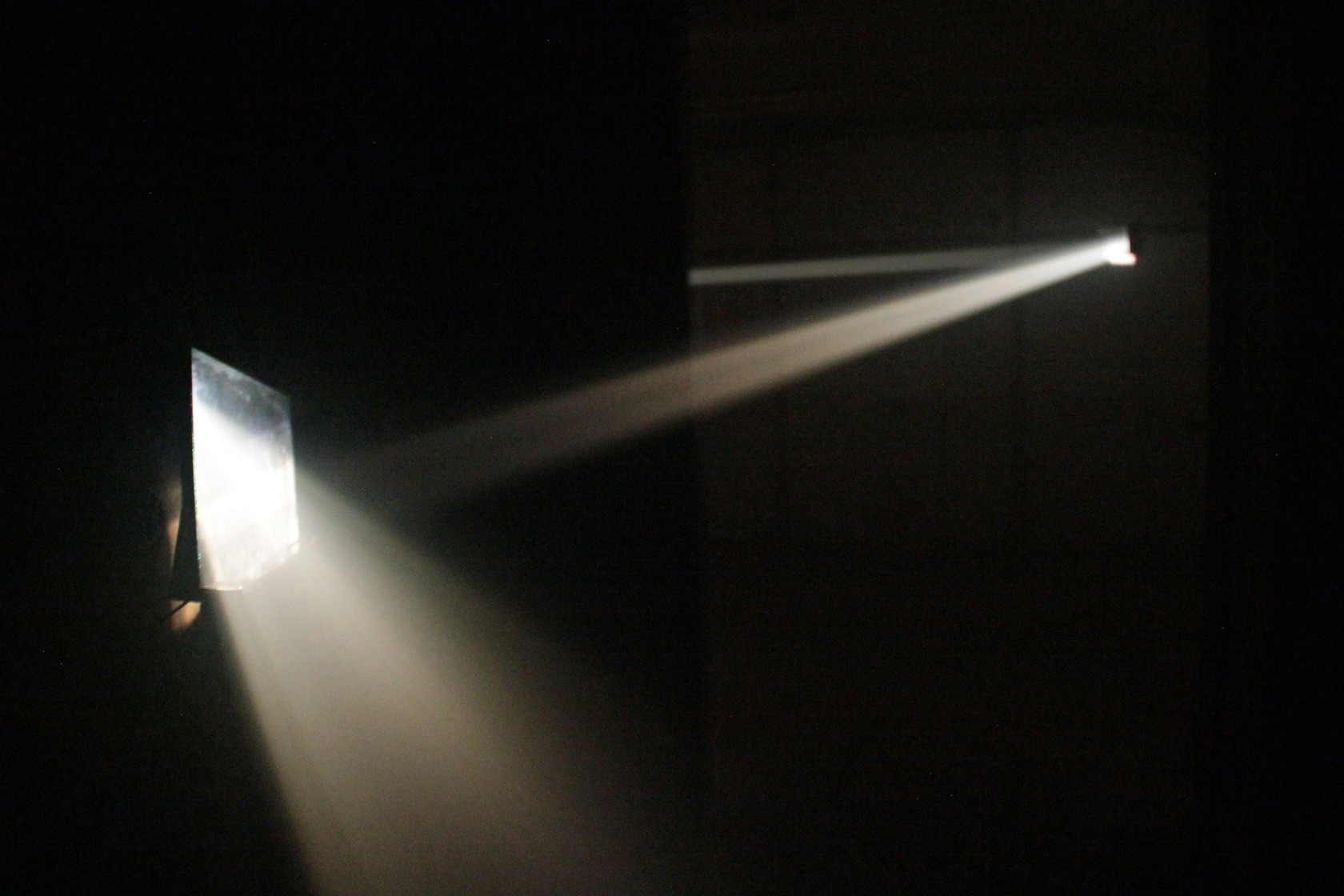 Bicho de nariz delicado, 2013 Two slide projectors, unique slides, mirrors, smoke, gilded canvas, phasmid Photo © Daniel Steegmann Mangrané