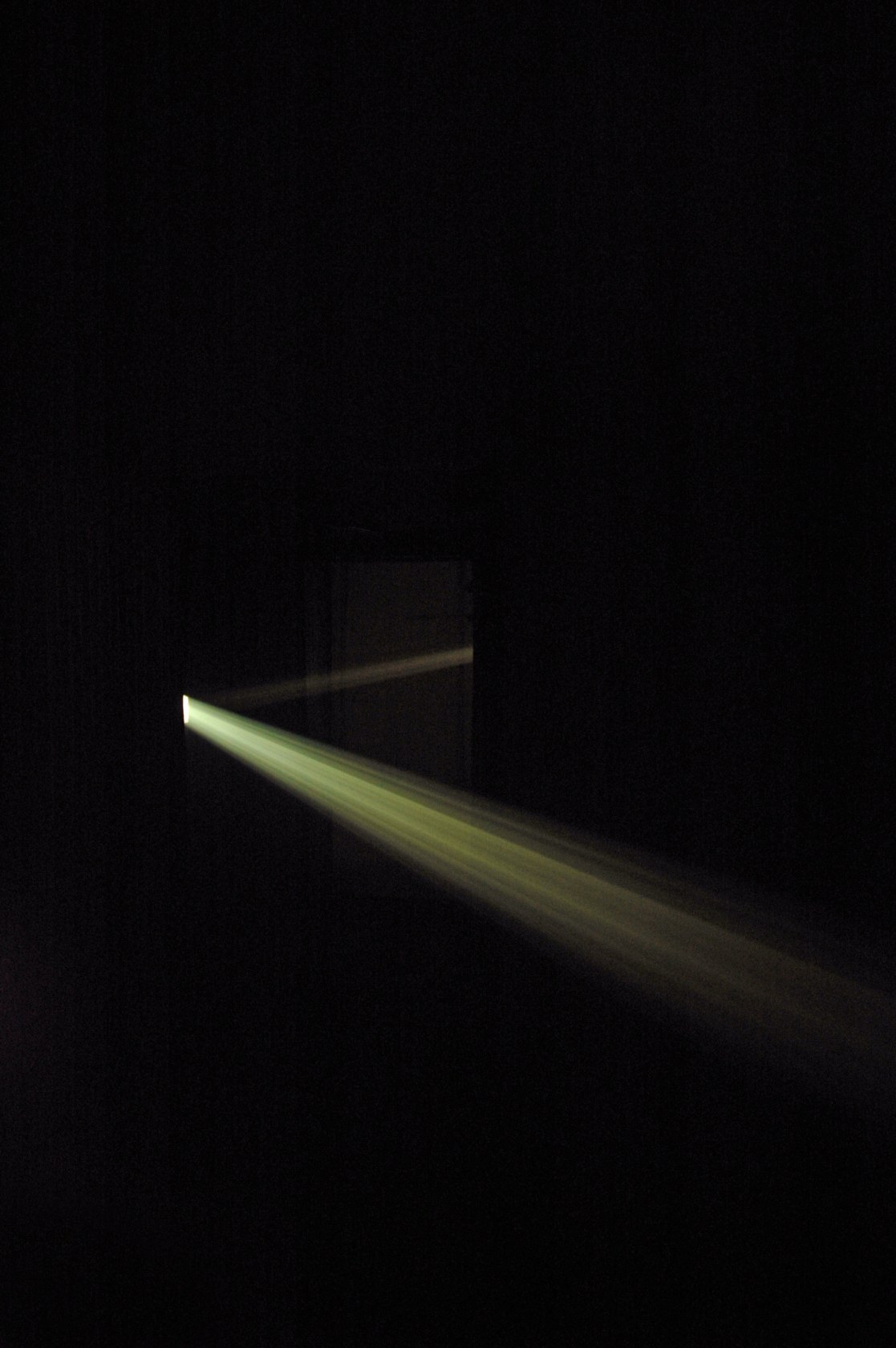 Bicho de nariz delicado, 2013 Two slide projectors, unique slides, mirrors, smoke, gilded canvas, phasmid Photo © Daniel Steegmann Mangrané