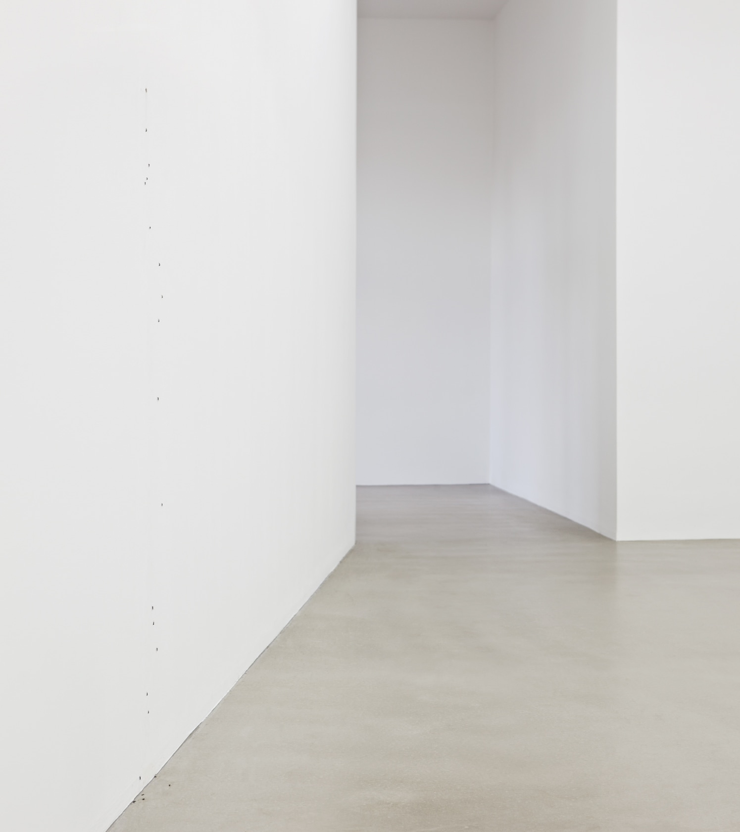 Umwelt, 2011 Ants, Spiders Ants and spiders travel freely on ceiling, floor and walls. In the course of the work's...