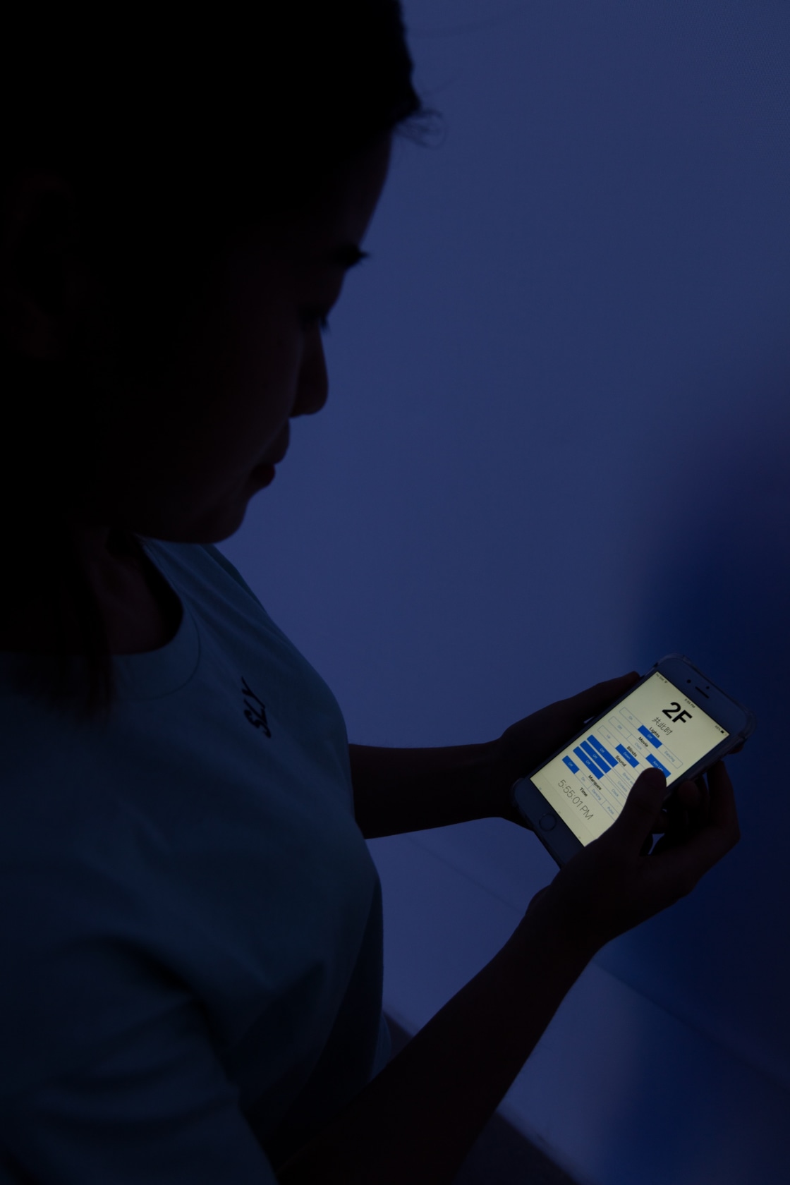 The exhibition assistants, or ‘dalang’ performers, use their phones to control the blinds of the room. A ‘dalang’ refers to...