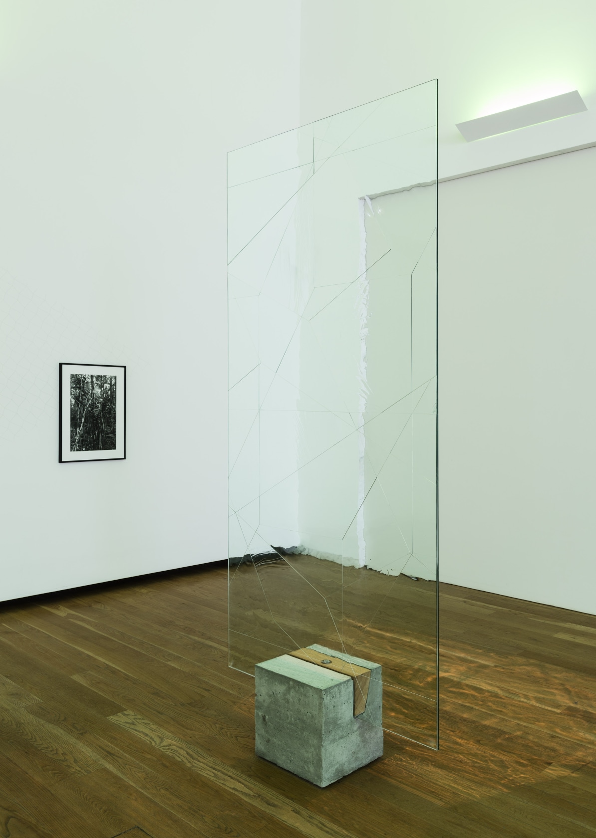 Left: Spiral Forest 4, 2015 Fiber-based gelatin silver print 60 x 40 (unframed) 77 x 57 x 3 cm (framed)...