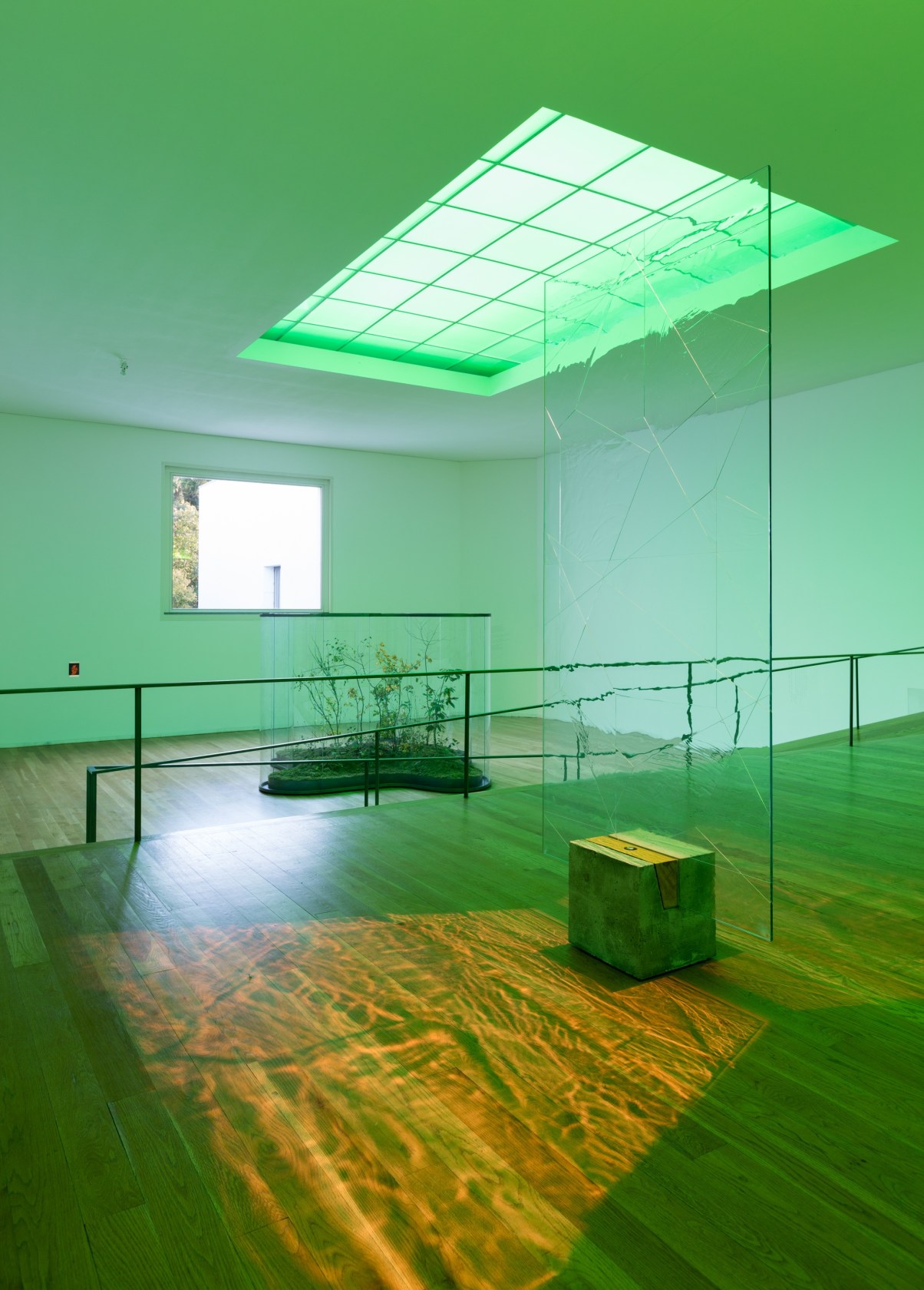 Exhibition view: A Transparent Leaf Instead Of The Mouth, Museu Serralves, Porto, 2017-18 Photo © Andrea Rossetti