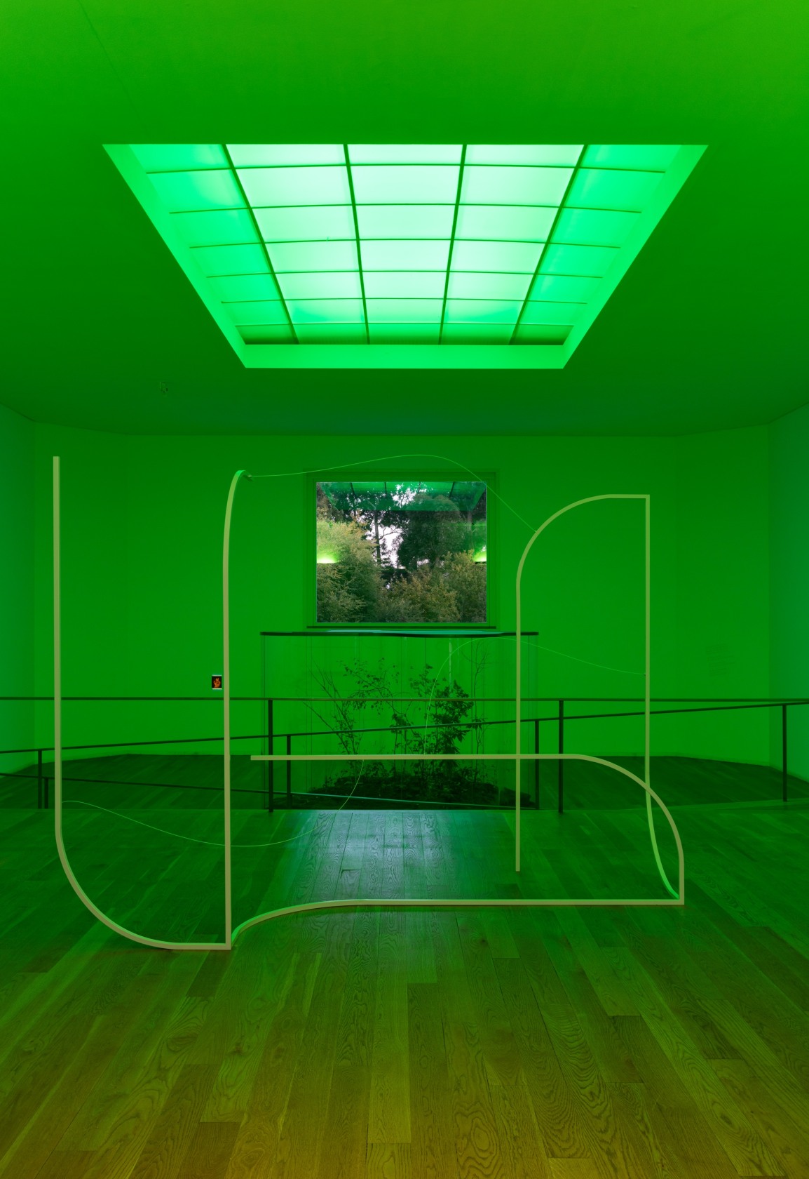 Exhibition view: A Transparent Leaf Instead Of The Mouth, Museu Serralves, Porto, 2017-18 Photo © Andrea Rossetti