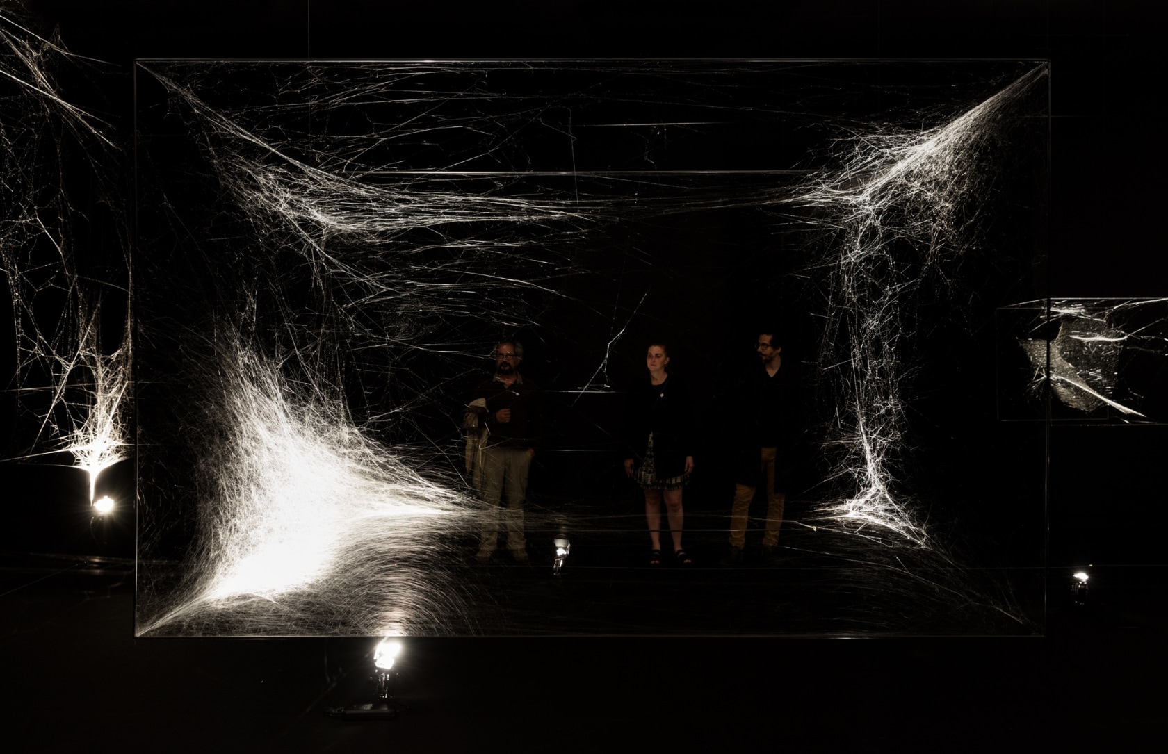 Quasi-social musical instrument IC 342 built by: 7000 Parawixia bistriata - six months, 2017 (detail) Made by around 7,000 spiders,...