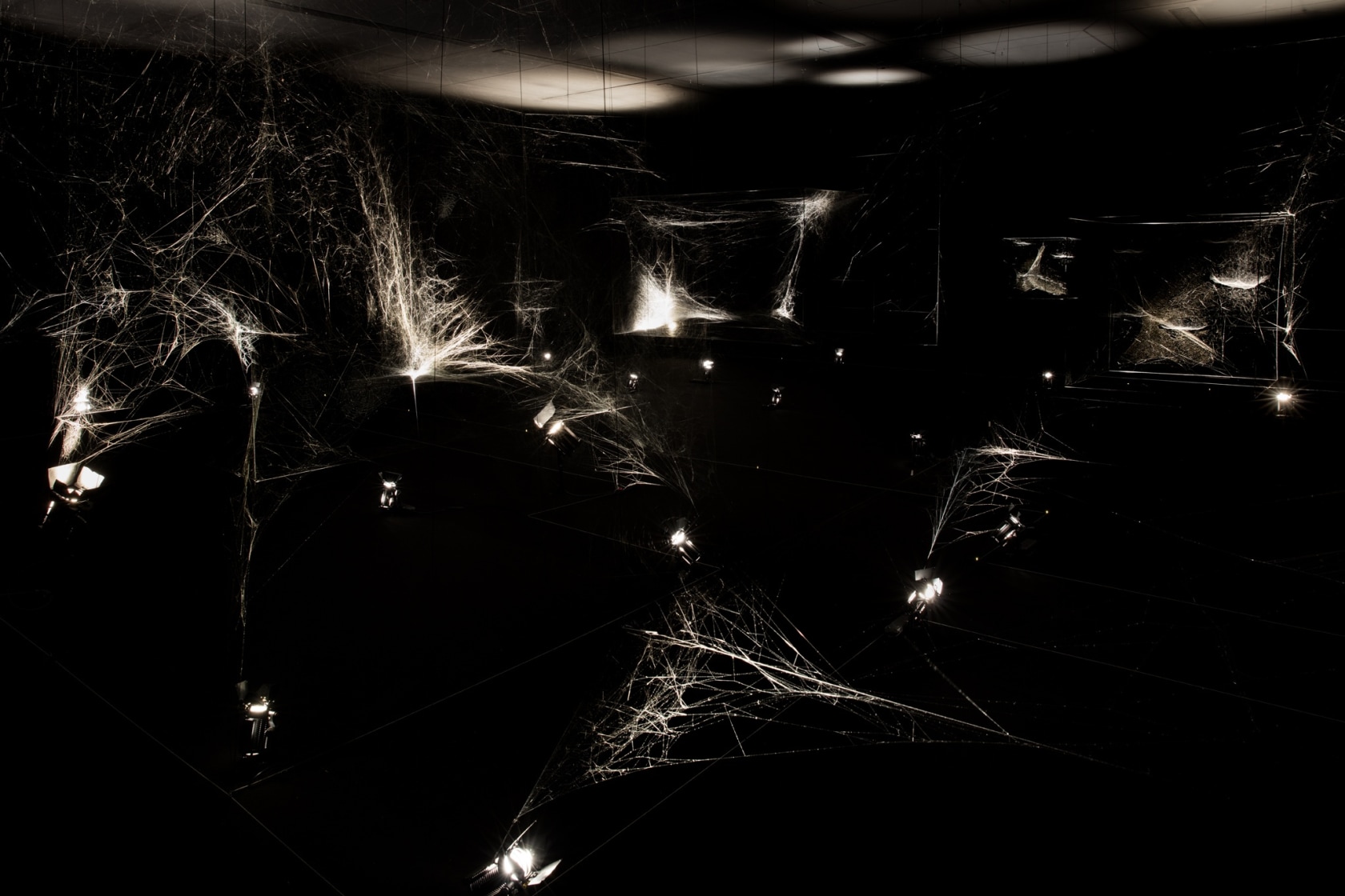 Quasi-social musical instrument IC 342 built by: 7000 Parawixia bistriata - six months, 2017 (detail) Spidersilk, carbon fibre Made by...