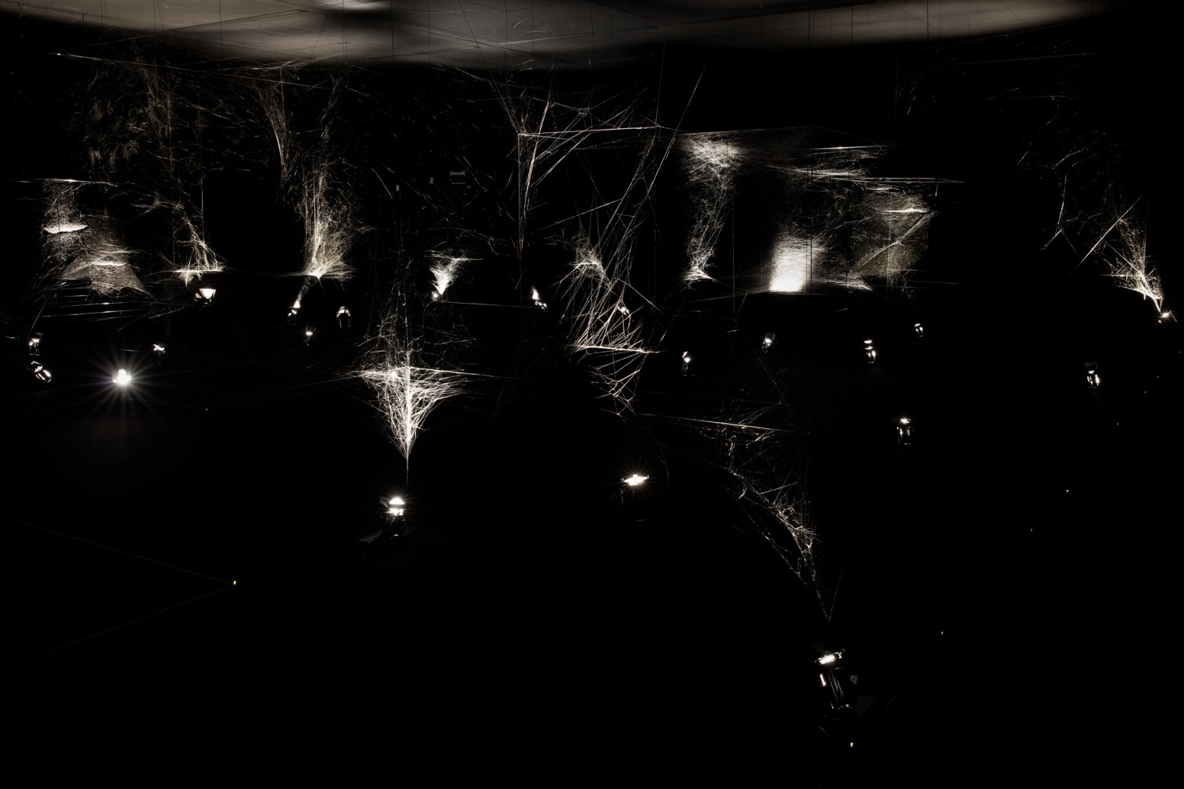 Quasi-social musical instrument IC 342 built by: 7000 Parawixia bistriata - six months, 2017 (detail) Spidersilk, carbon fibre Made by...