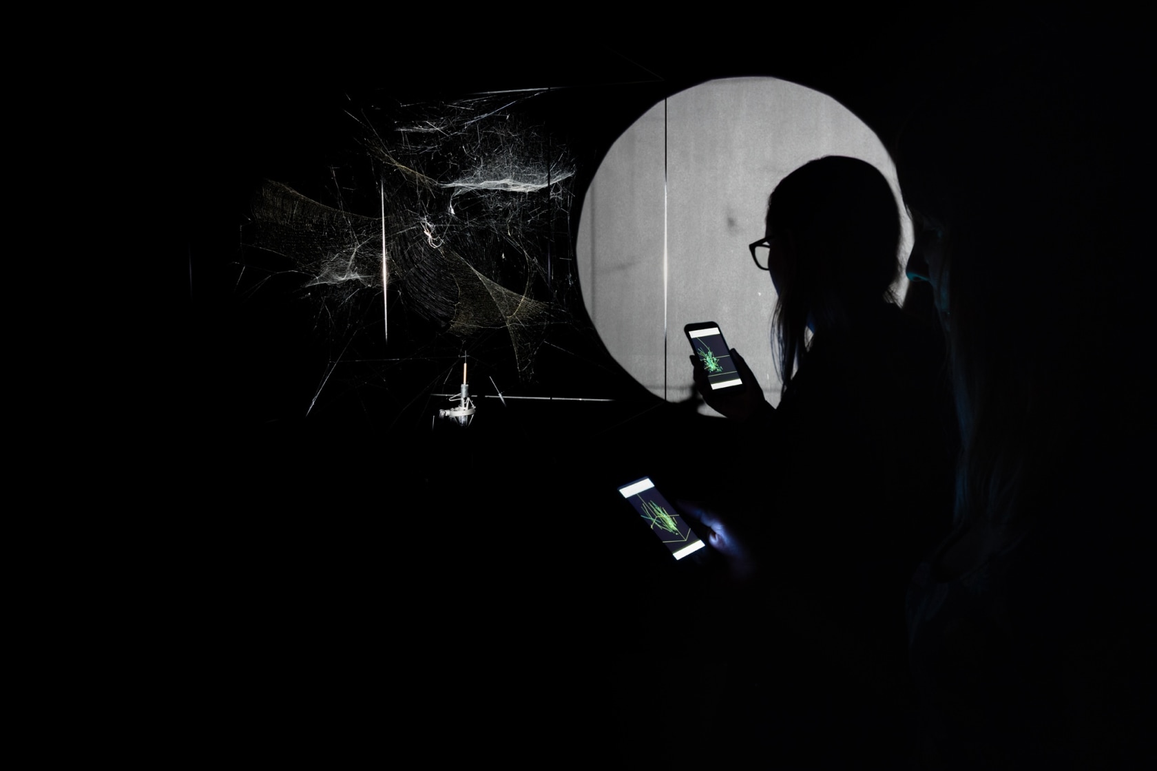 The Cosmic Dust Spider Web Orchestra, 2017 (detail) Nephila senegalensis silk, carbon frame, light beam, meteoritic dust, stellar wind, sonic...