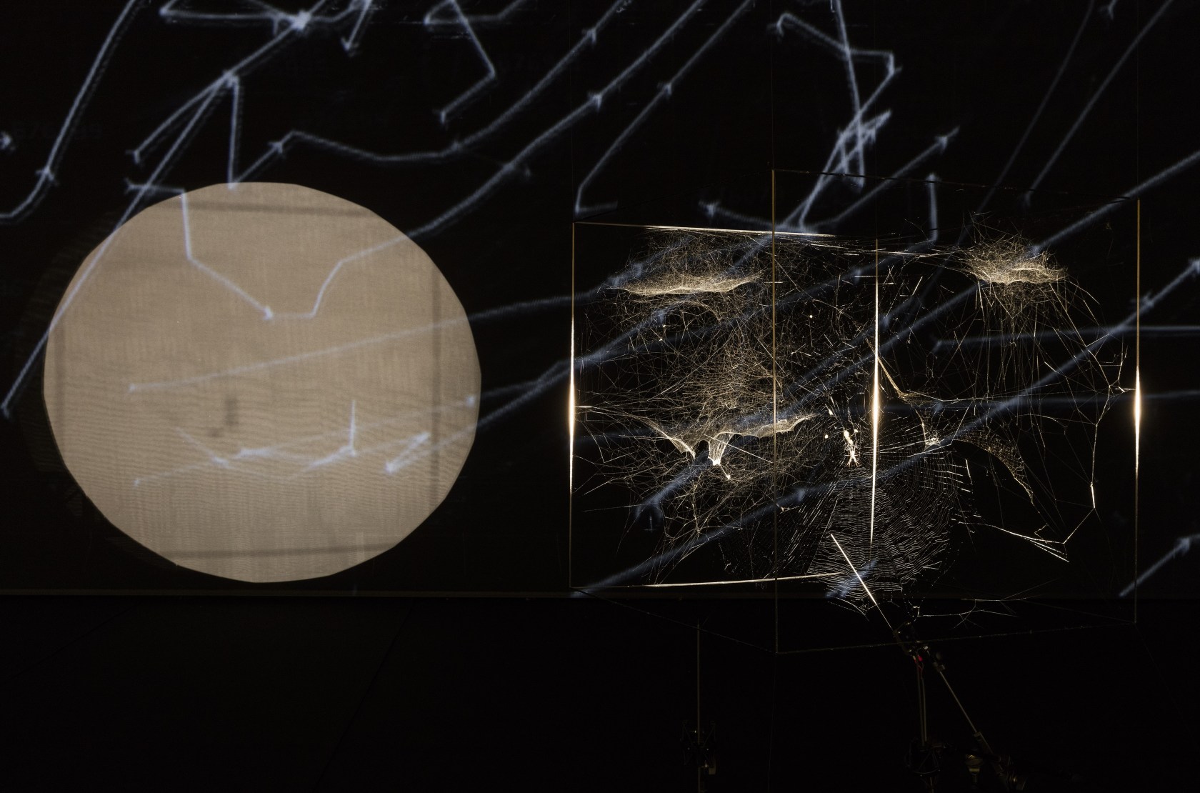 Exhibition view Our Interplanetary Bodies, 2017 Asia Culture Center, Gwangju The trails of the microscopic particles appear so enlarged in...