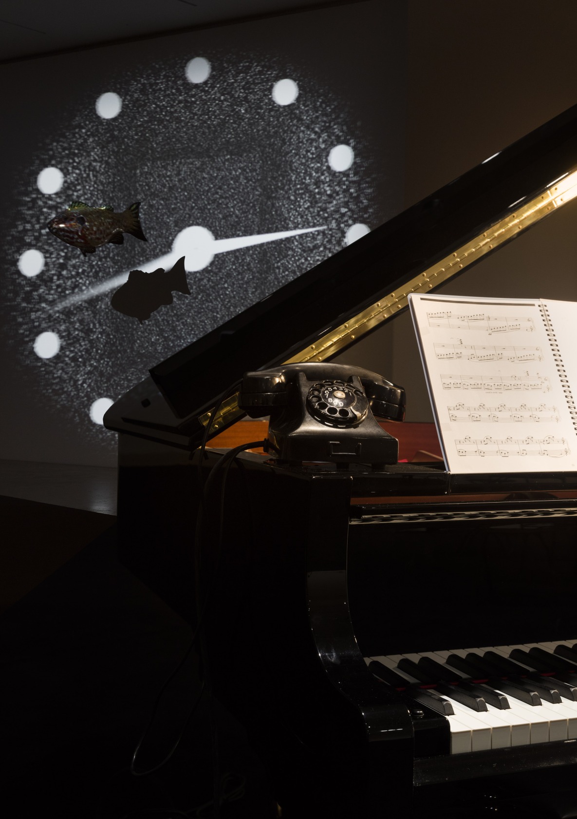 Exhibition view: La Levadura y el Anfitrión Museo Jumex, Mexico City, 2017-18 Photo © Andrea Rossetti