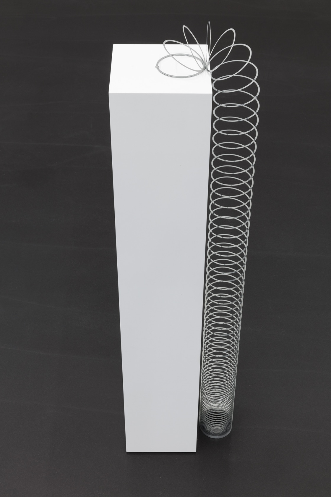 Slinky, 2018 Slinky, pedestal 84 x 14 x 14 cm (plinth) Photo © Andrea Rossetti
