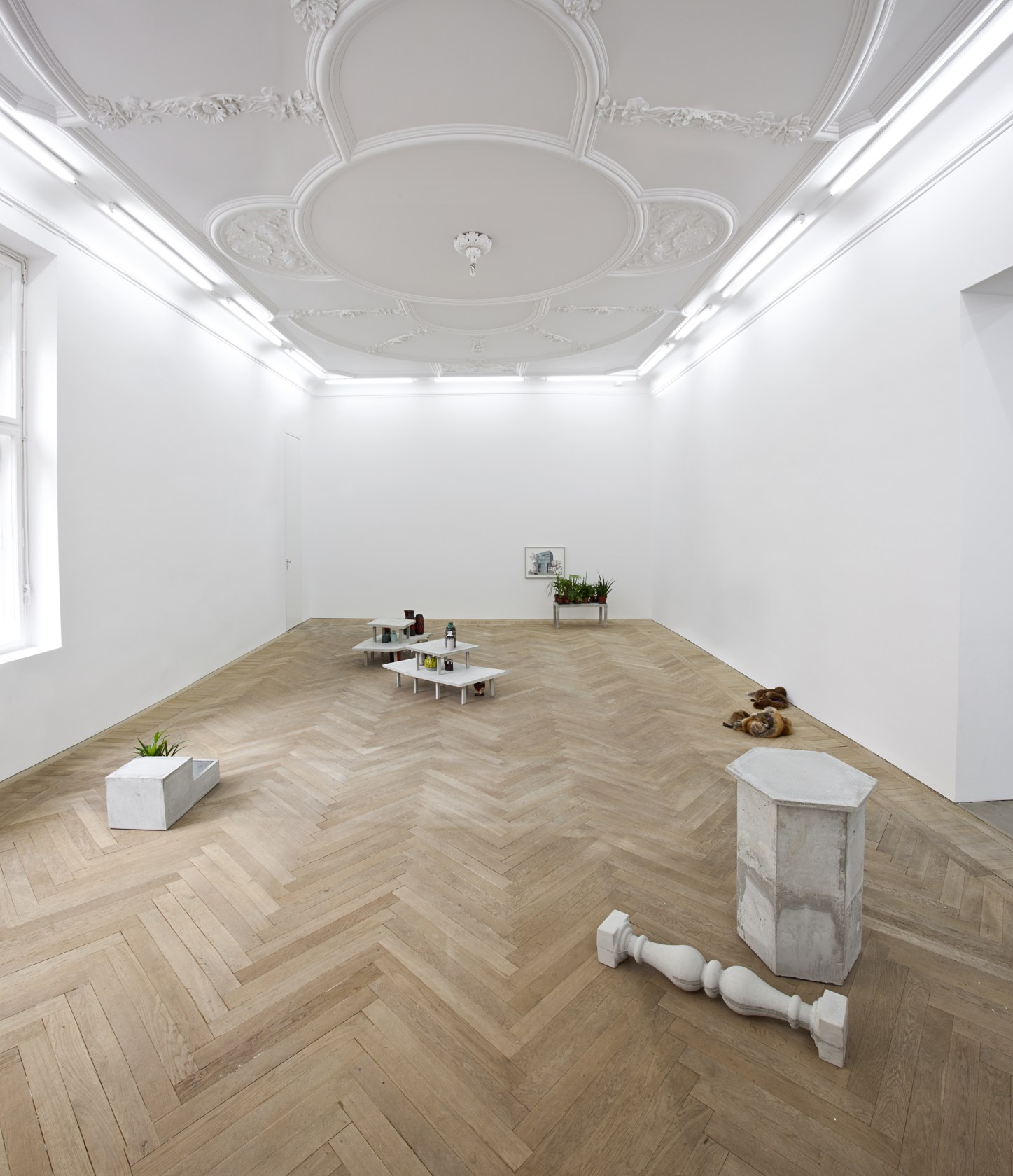 Exhibition view, A Green Archipelago, 2012 © Andrea Rossetti