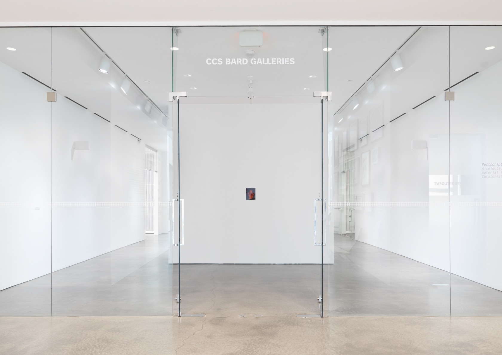 Mano con hojas, 2013 Exhibition view: Daniel Steegmann Mangrané, A Transparent Leaf Instead of the Mouth, CCS Bard Galleries, Bard...