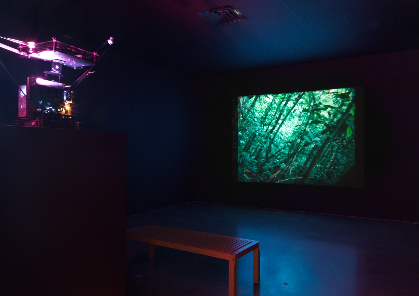 Spiral Forest Gimbal (Kingdom Of All The Animals And All The Beasts Is My Name), 2014-2015 Custom-made Gimbal camera, 16...