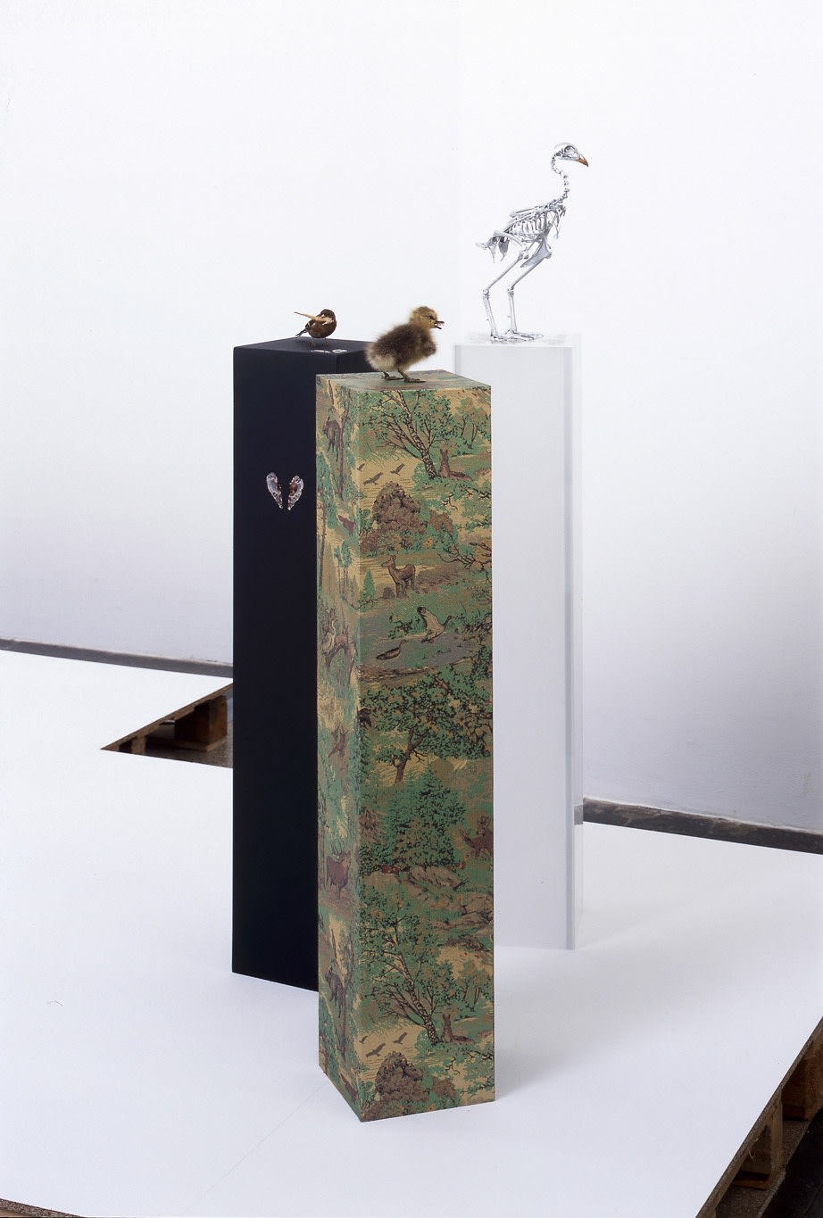 Heimir Björgúlfsson A tale of a fink and a seahorse, 2004 (left) Taxidermy fink, seahorse, crystal stones, wood 20 x...