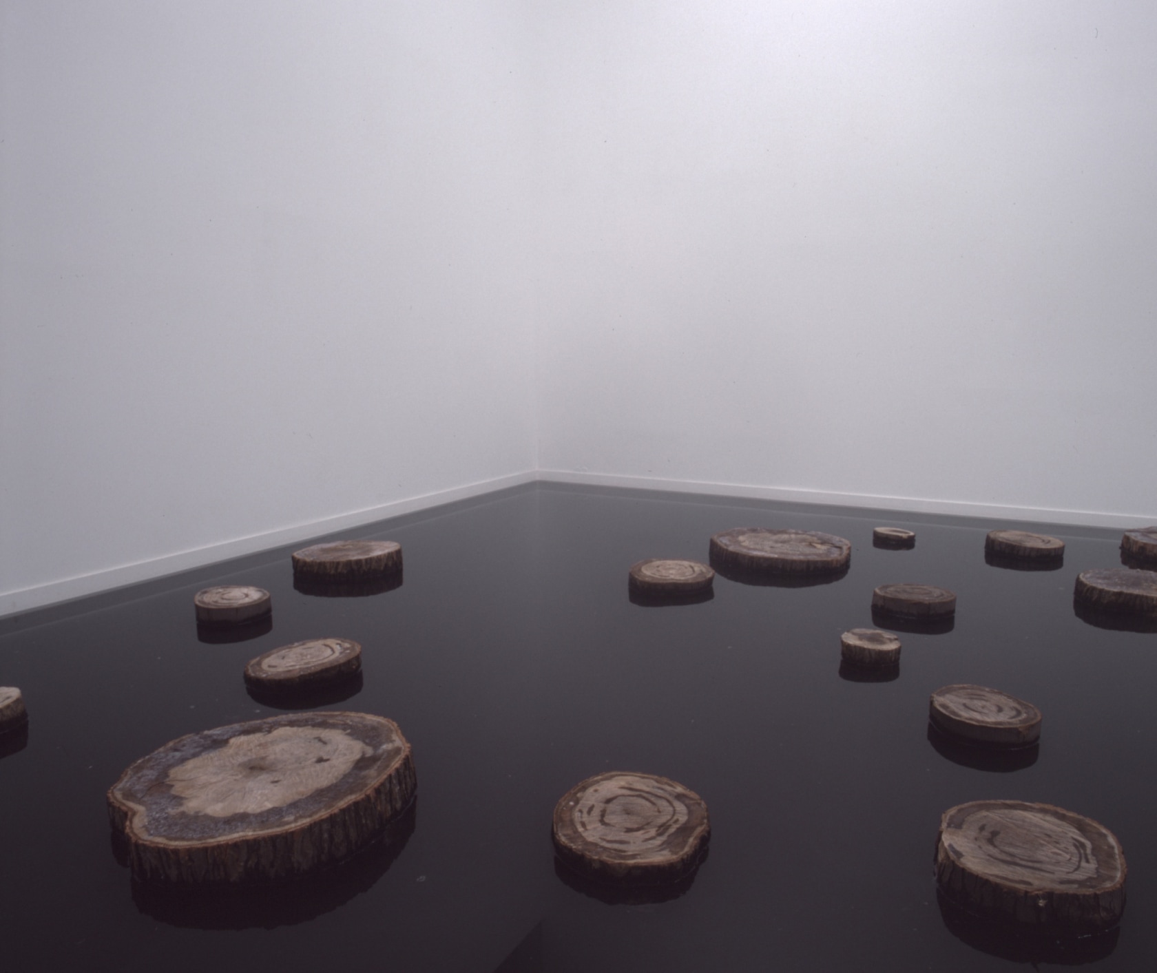 V.S., 2003 Tree discs, pond, water Dimensions variable (30 - 500 sqm) Photo © Howard Sheronas