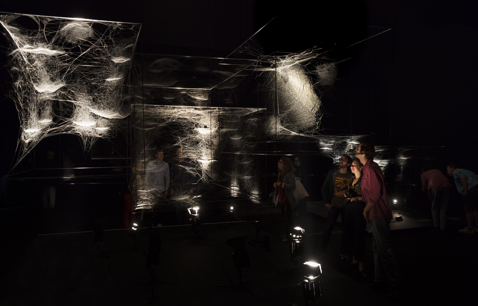 Webs of At-tent(s)ion, 2018 Made up of 76 hybrid spider webs – sculptures interwoven by different spider species where individual...