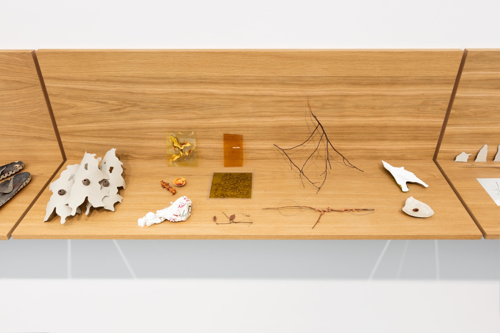 Daniel Steegmann Mangrané Vitrine with Objects #4, 1998-2018 Paper, dried leaves glued on plastic, packaging material, twigs, wire, found ephemera,...