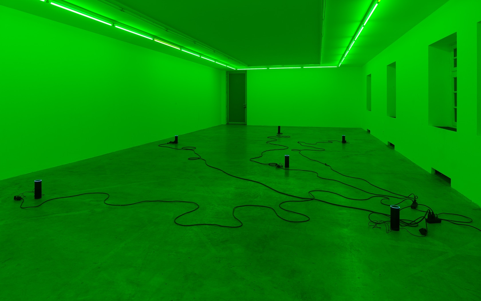 Julia Scher Delta Alexa, 2018 Alexa virtual assistants, green gel filter, MP3 players, cables Dimensions variable Photo © Simon Vogel