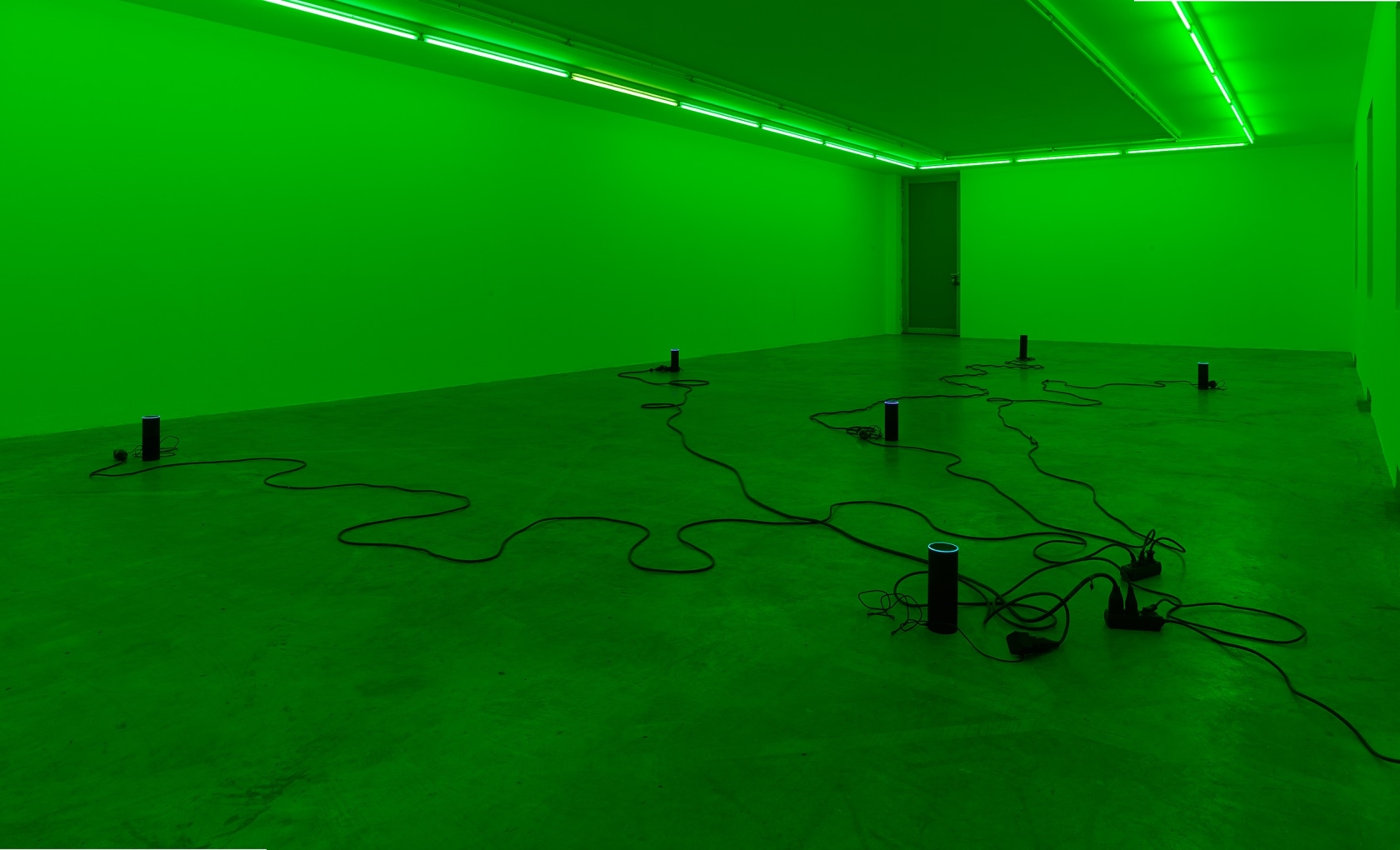 Julia Scher Delta Alexa, 2018 Alexa virtual assistants, green gel filter, MP3 players, cables Dimensions variable Photo © Simon Vogel