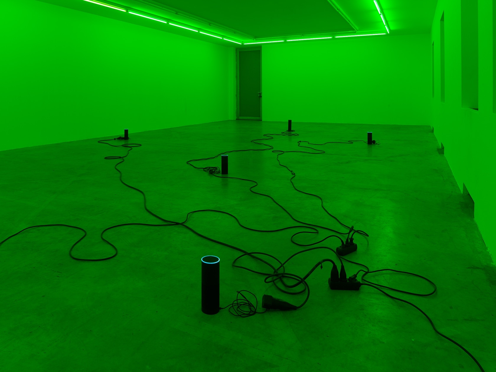 Julia Scher Delta Alexa, 2018 Alexa virtual assistants, green gel filter, MP3 players, cables Dimensions variable Photo © Simon Vogel