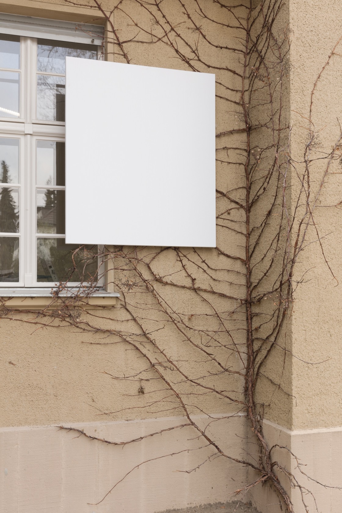 Exhibition view: Karin Sander. A – Z, Haus am Waldsee, Berlin 2019 Photo © Andrea Rossetti