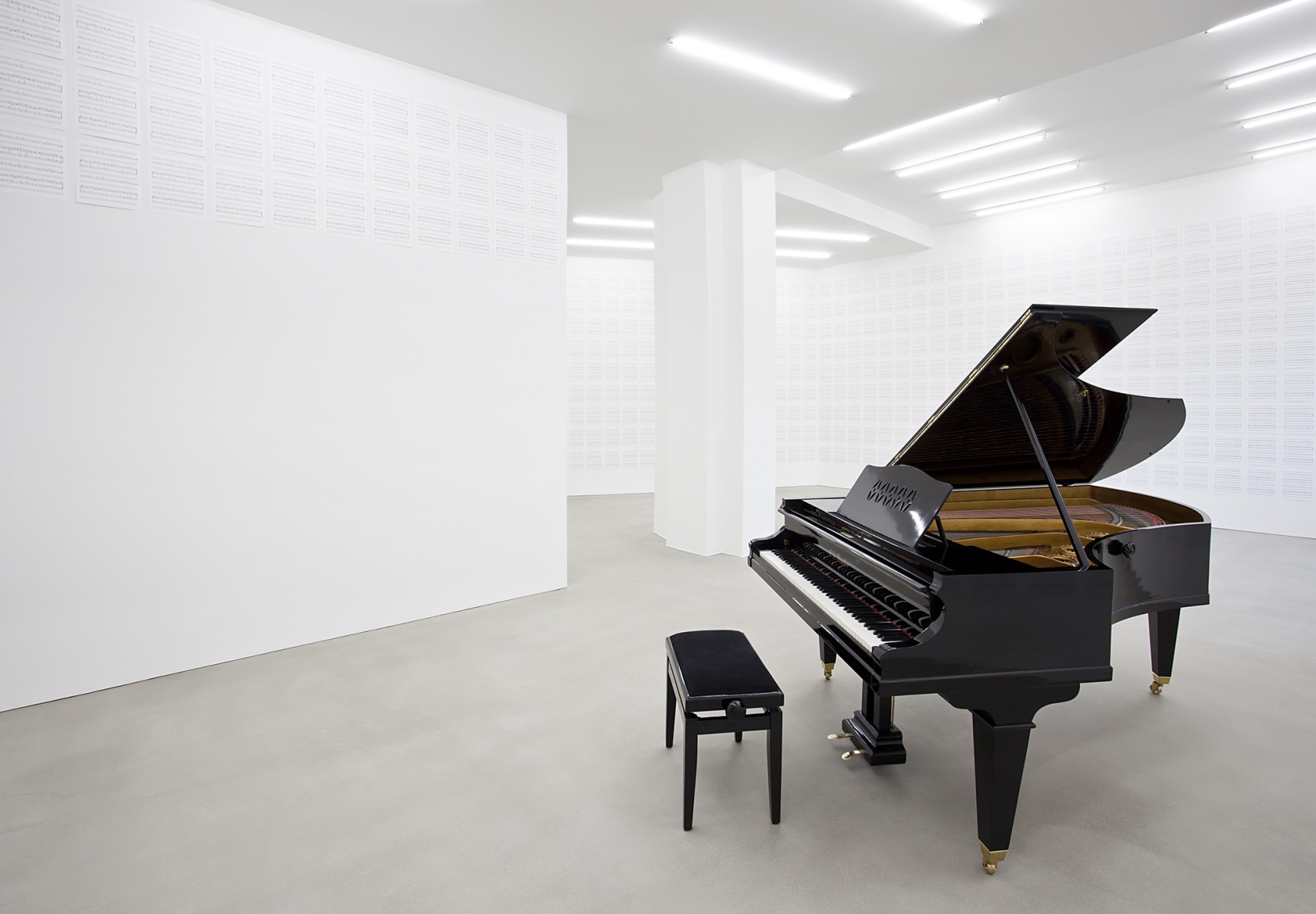 The New Empirical (840hz), 2013 Modified grand piano (Irmler, Leipzig 1893), custom-made tuning fork The grand piano is manipulated to...