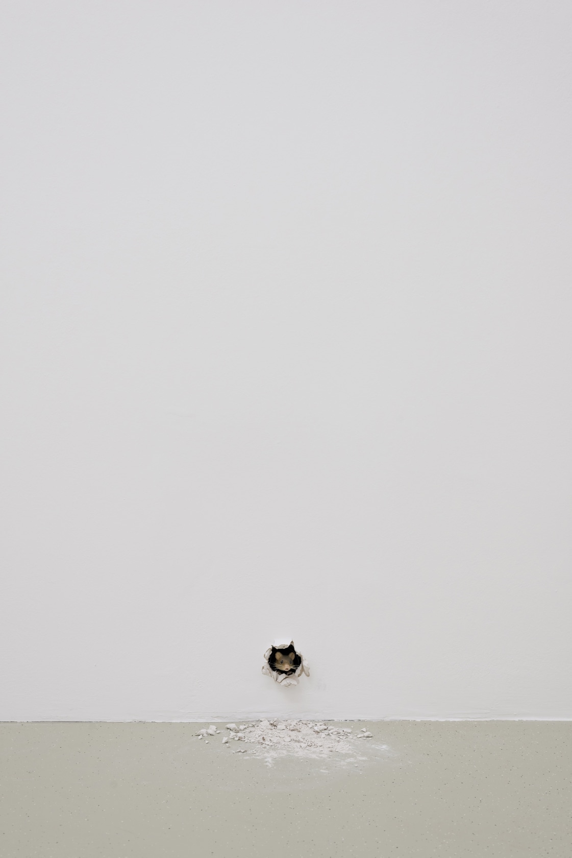 Ryan Gander 2000 year collaboration (The Prophet), 2018 Exhibition view: Hate Speech, Aggression and Intimacy, with Ryan Gander, Künstlerhaus. Halle...