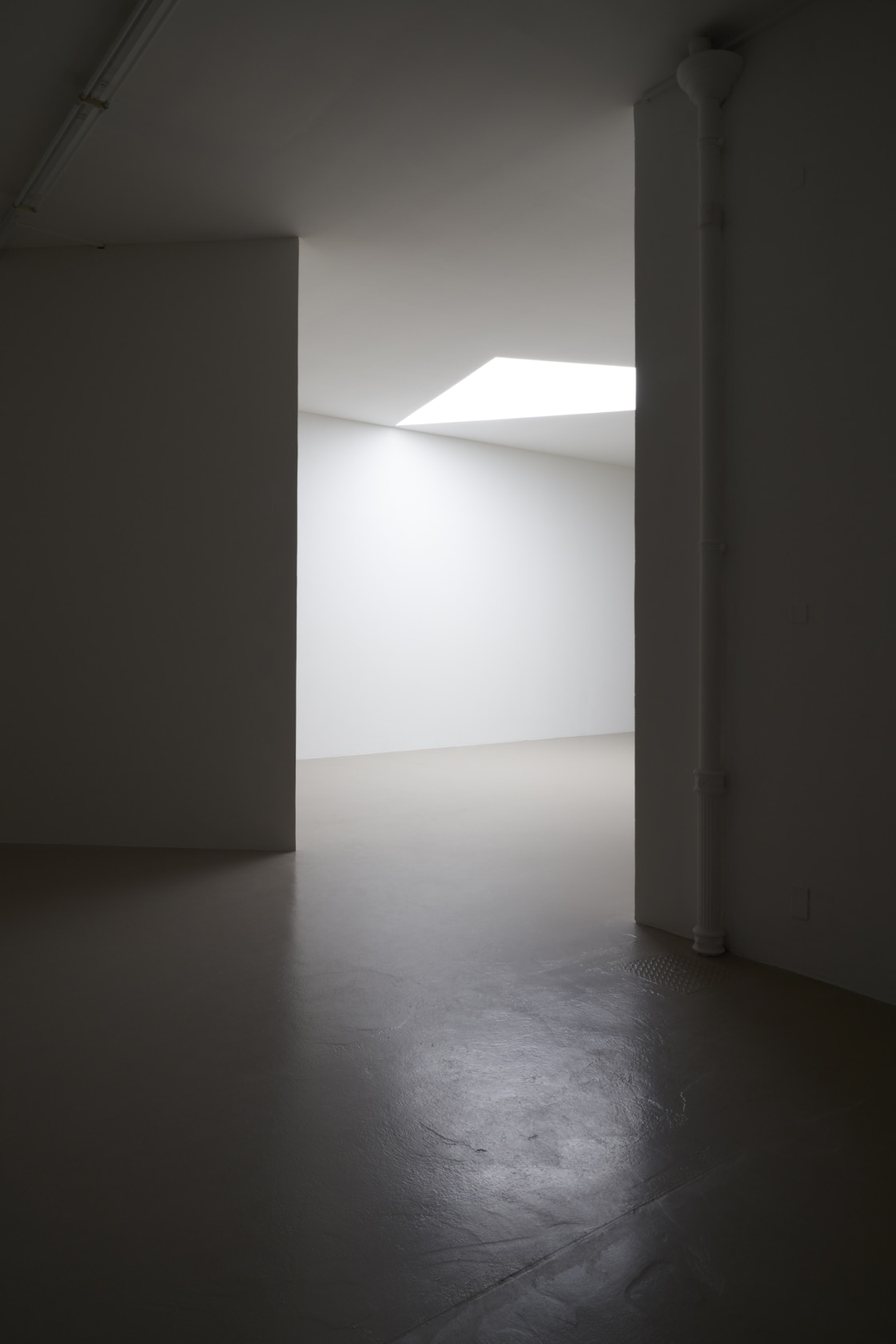 Exhibition view: Ne voulais prendre ni forme, ni chair, ni matière à l'Institut d'art contemporain, Institut d'art contemporain, Villeurbanne/Rhône-Alpes, 2019...