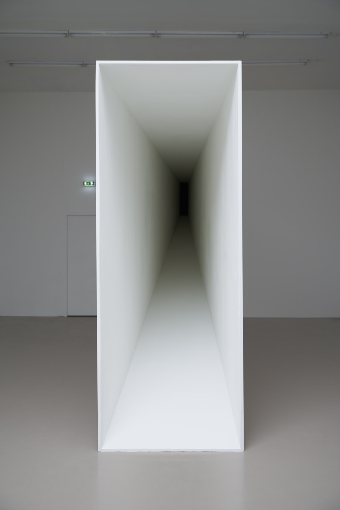 Exhibition view: Ne voulais prendre ni forme, ni chair, ni matière à l'Institut d'art contemporain, Institut d'art contemporain, Villeurbanne/Rhône-Alpes, 2019...