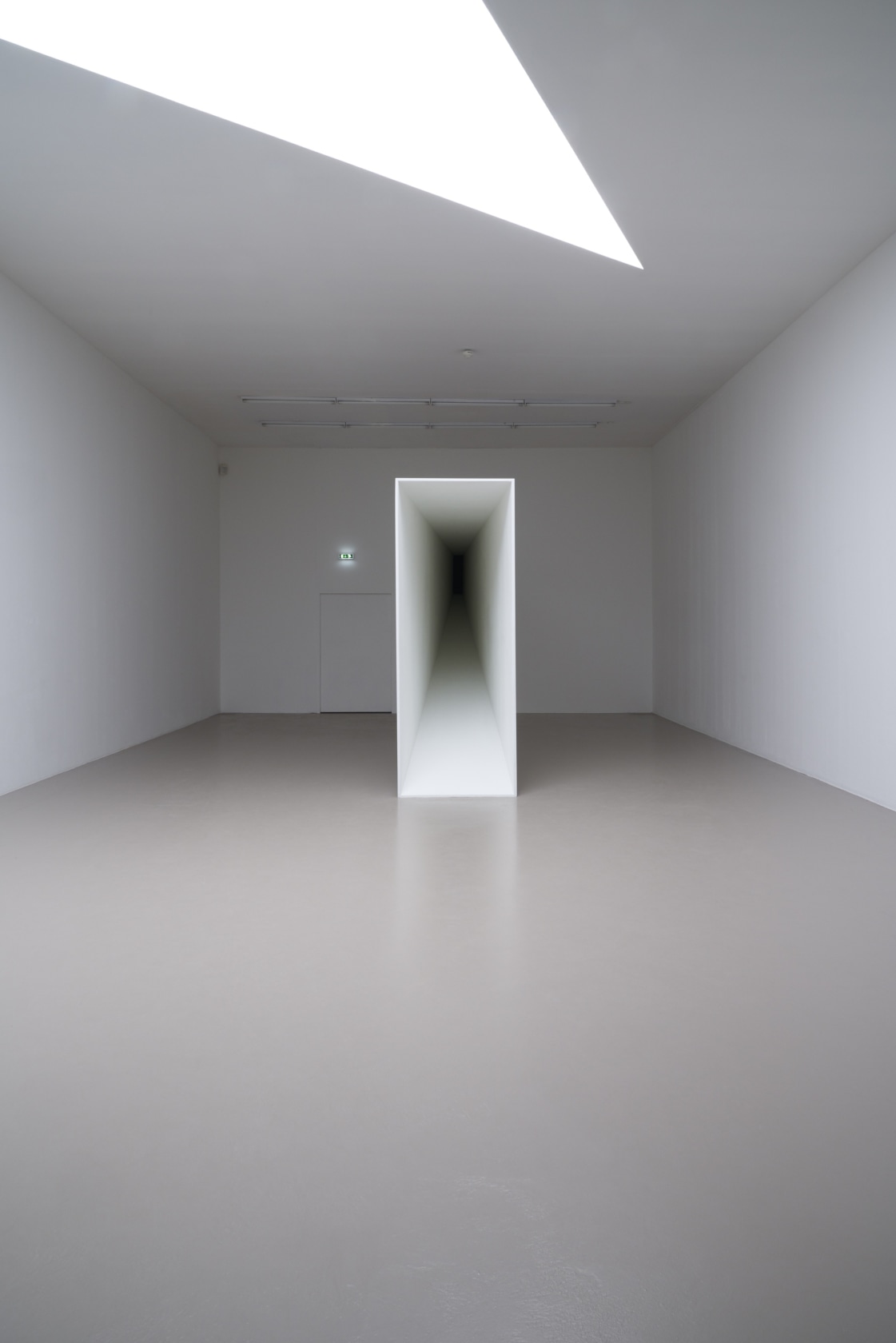 Exhibition view: Ne voulais prendre ni forme, ni chair, ni matière à l'Institut d'art contemporain, Institut d'art contemporain, Villeurbanne/Rhône-Alpes, 2019...