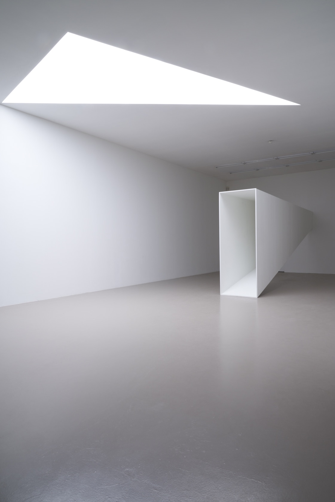 Exhibition view: Ne voulais prendre ni forme, ni chair, ni matière à l'Institut d'art contemporain, Institut d'art contemporain, Villeurbanne/Rhône-Alpes, 2019...