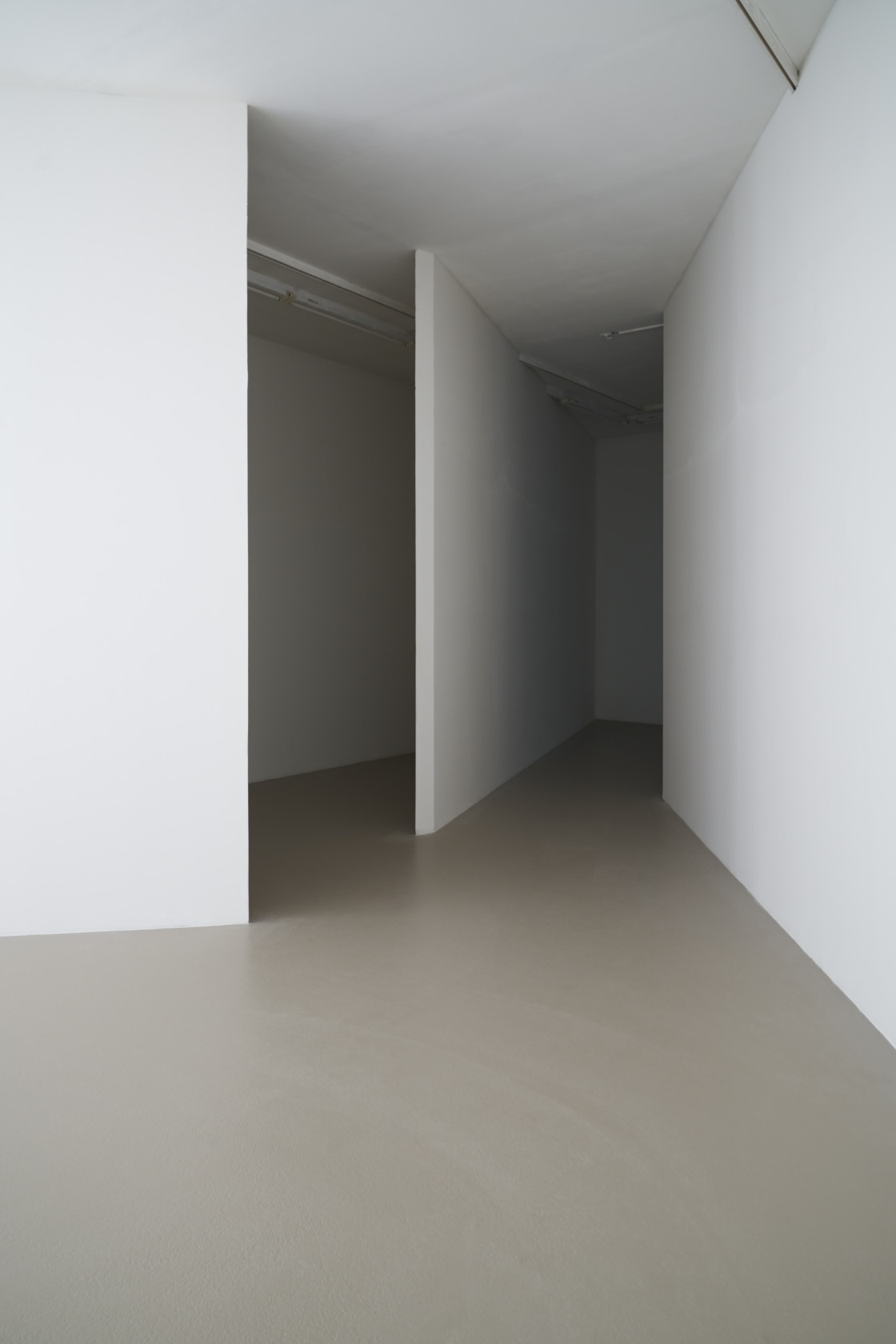 Exhibition view: Ne voulais prendre ni forme, ni chair, ni matière à l'Institut d'art contemporain, Institut d'art contemporain, Villeurbanne/Rhône-Alpes, 2019...