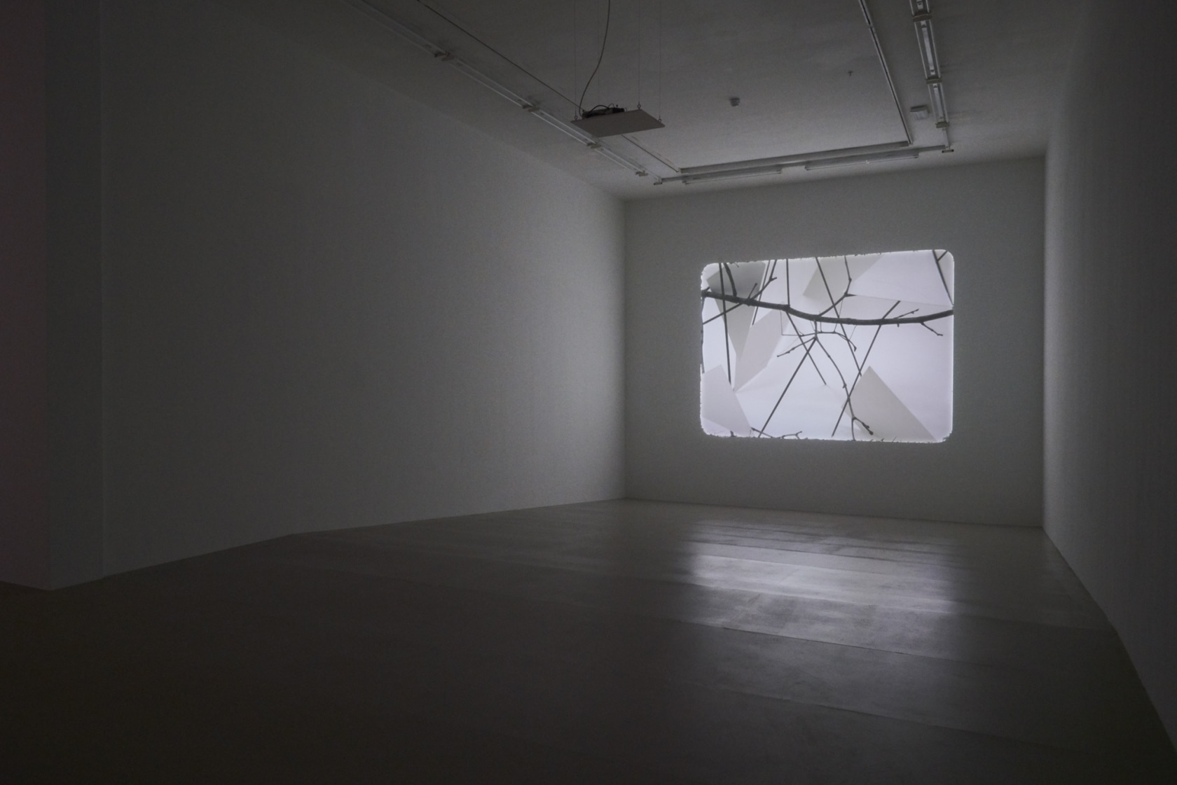 Phasmides, 2012 16 mm film transferred to HD video, color, mute, Duration 22:41 min Photo © Teresa Estrada