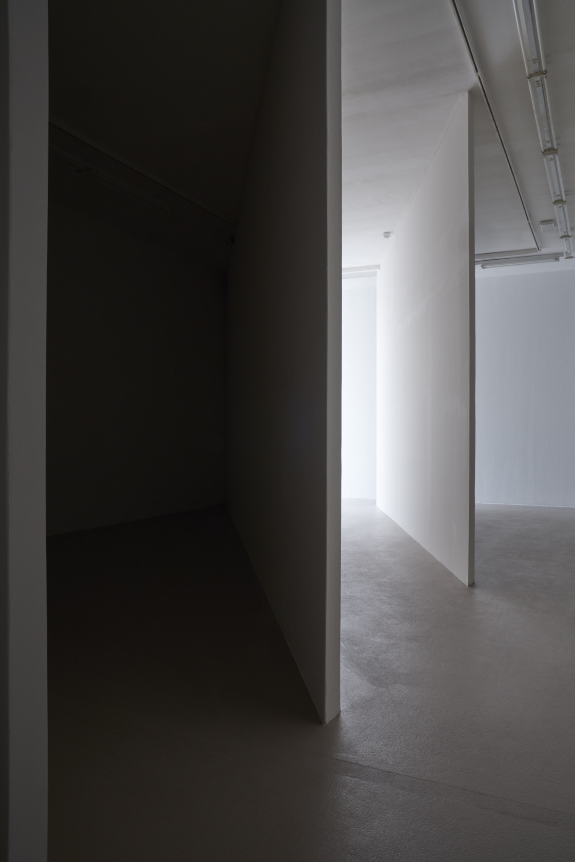 Exhibition view: Ne voulais prendre ni forme, ni chair, ni matière à l'Institut d'art contemporain, Institut d'art contemporain, Villeurbanne/Rhône-Alpes, 2019...