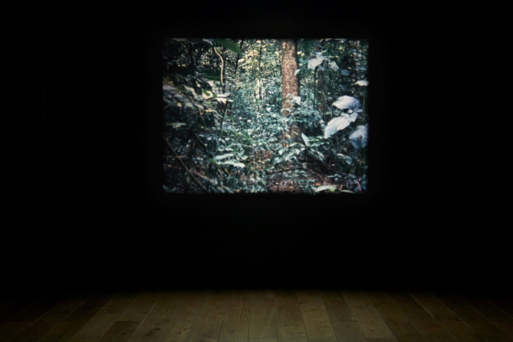 16mm, 2008-2011 16 mm film, color, synchronized 4 channel digital sound, camera dolly Duration: 4:54 min Photo © Stuart Whipps