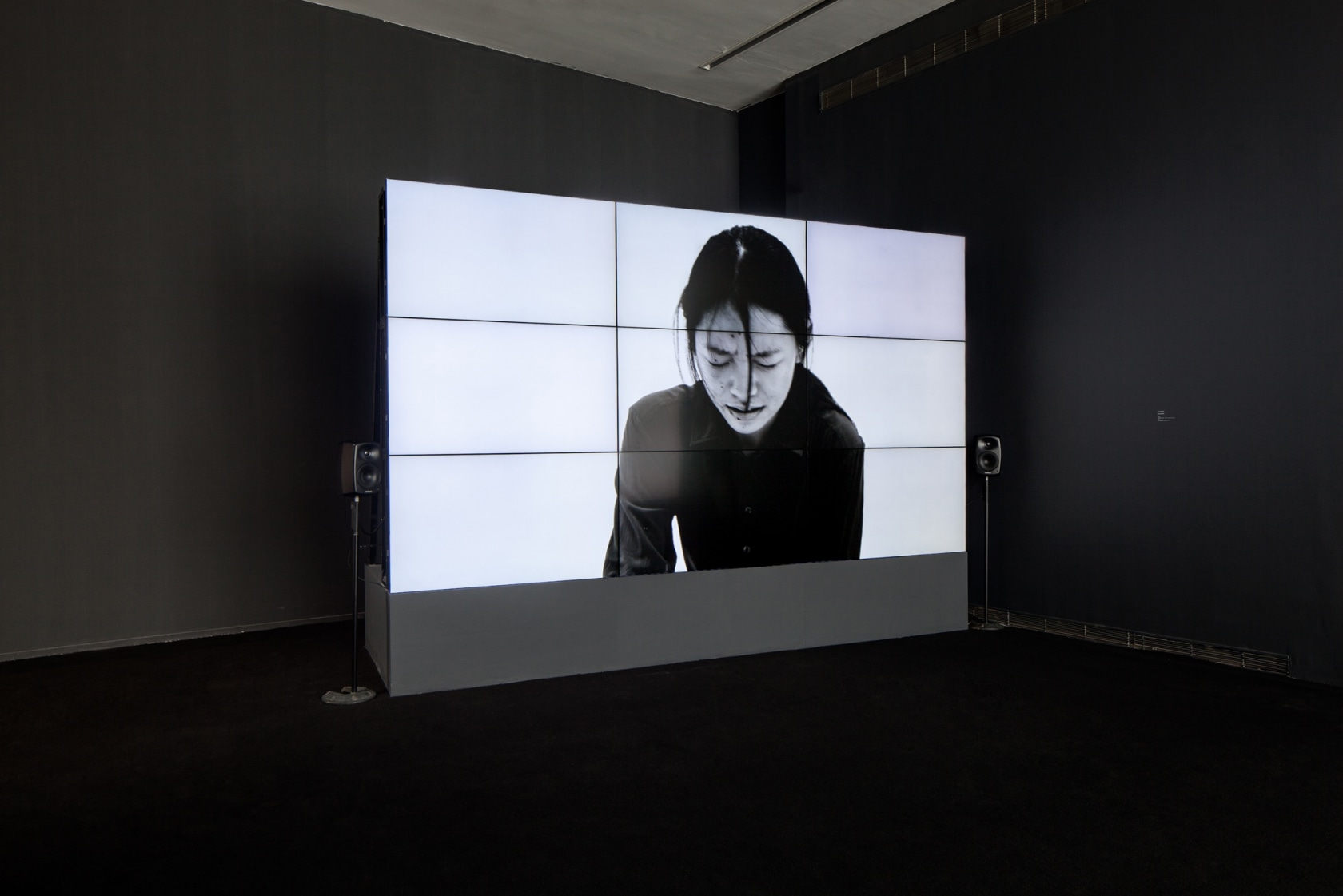 Tao Hui Excessive, 2015 (detail) HD video (color, sound), glass, projector, silica gel, iron, wood Duration 19:32 min Projection screen...