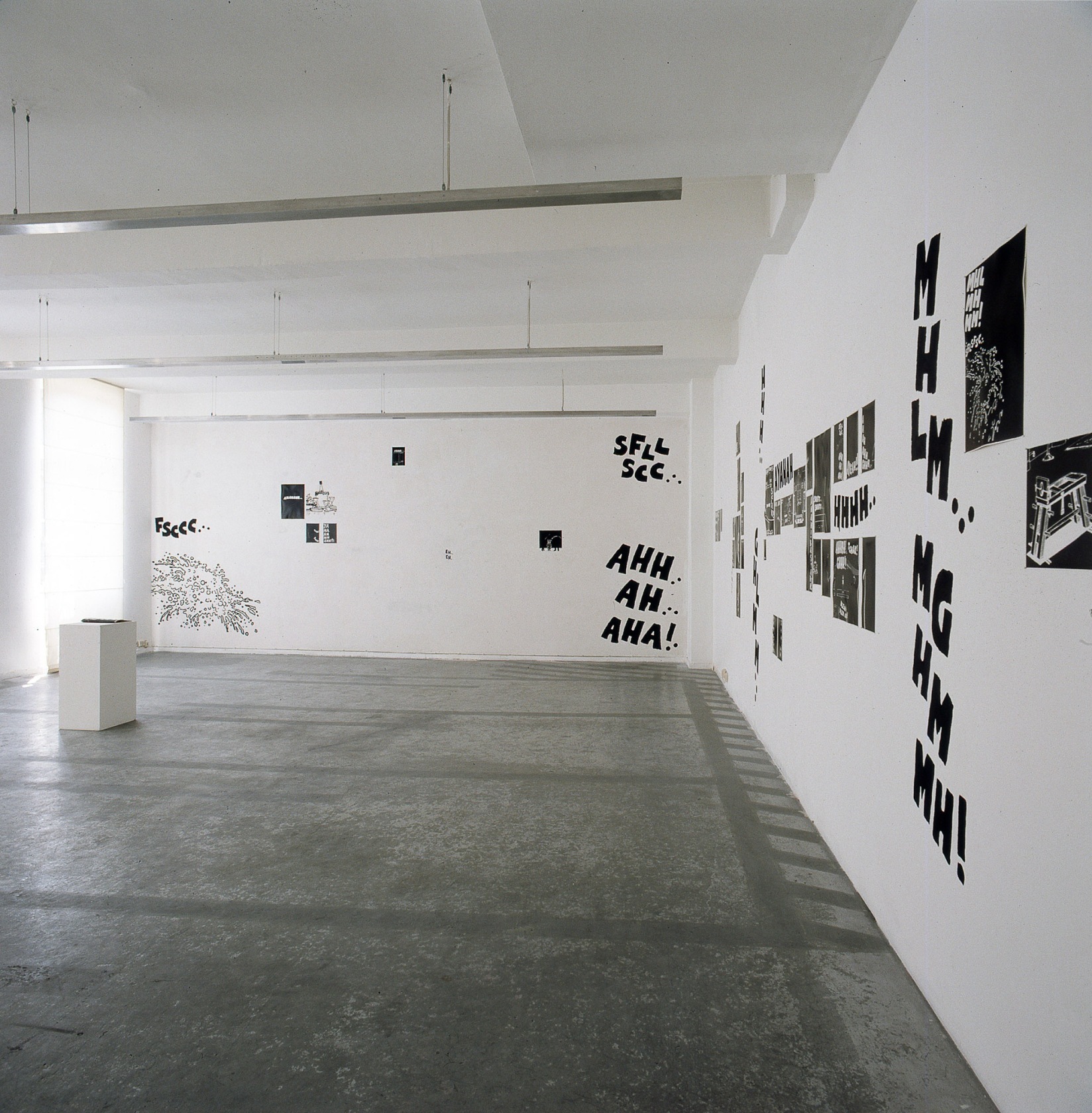 Exhibition view: MHLM...MGHMMH!, Esther Schipper, Cologne, 1992. Photo © Lothar Schnepf