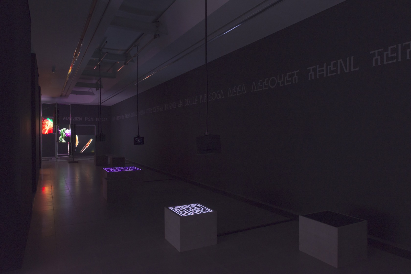 Exhibition view: Power Plants, Serpentine Galleries, London, 2019. Serpentine Galleries AR application design by Ayham Ghraowi, developed by Ivaylo Getov,...