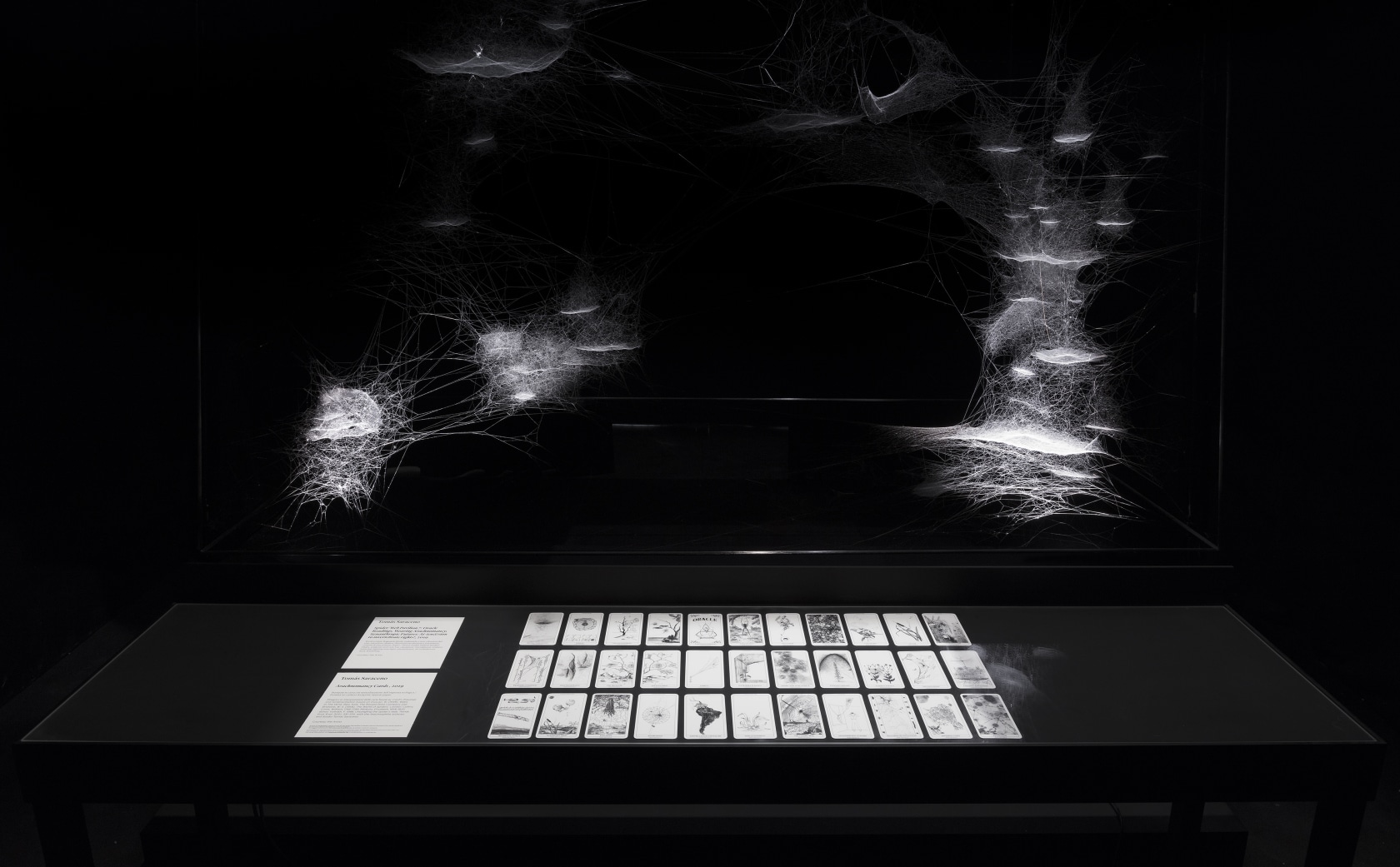 Spider/Web Pavilion 7, 2019 Architecture, spider silk, carbon fiber, microphones, heliostat lighting, research material, printed ephemera, mobile application 6,68 x...