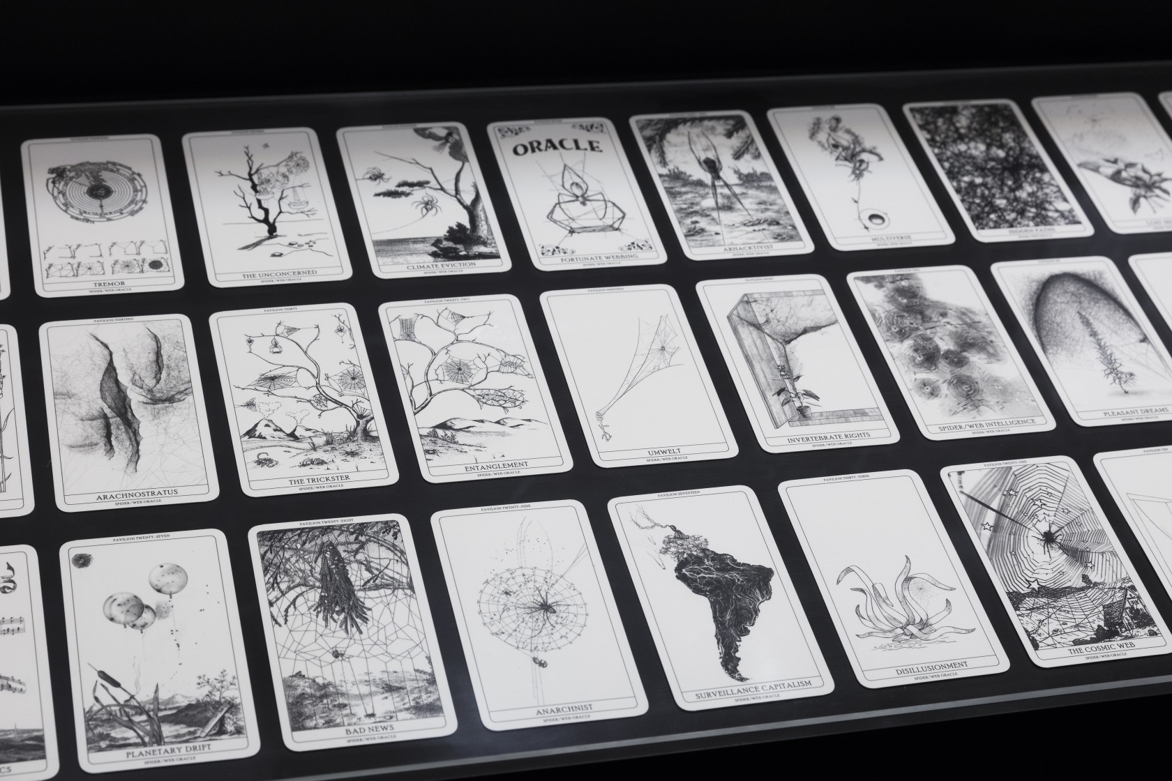 Spider/Web Pavilion 7, 2019 Architecture, spider silk, carbon fiber, microphones, heliostat lighting, research material, printed ephemera, mobile application 6,68 x...