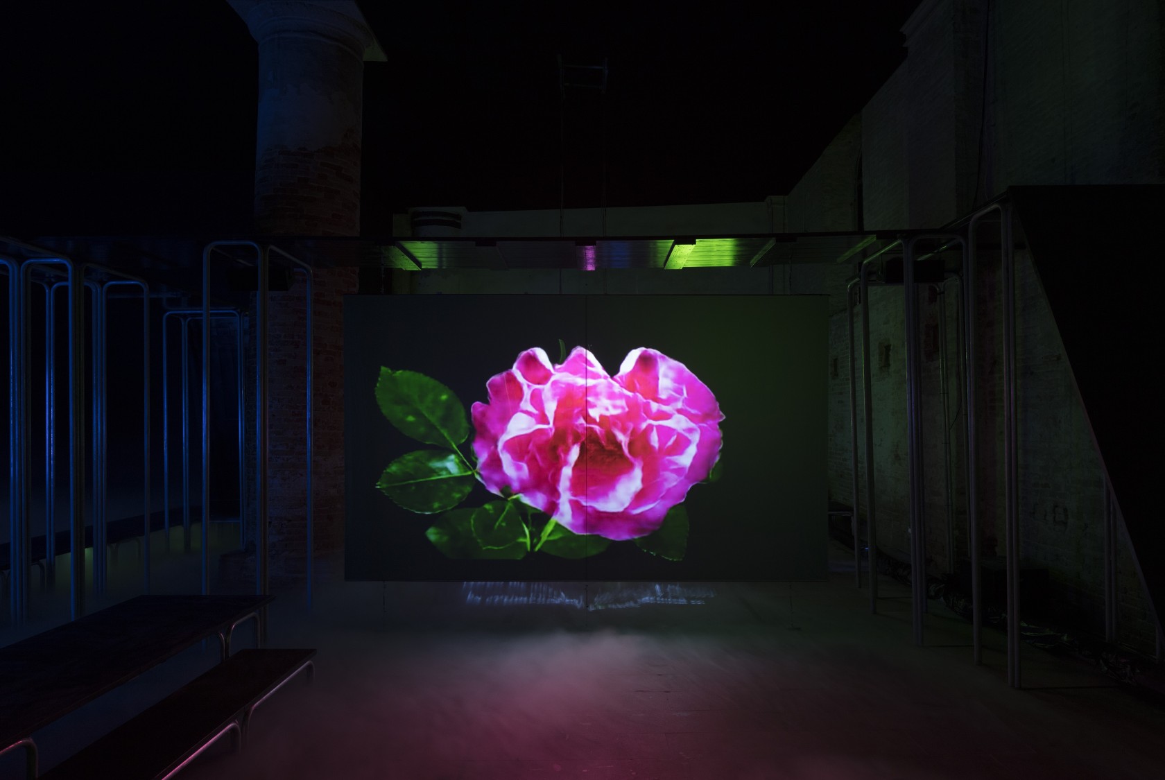 This is the Future, 2019 Video installation, environment This is the Future, 2019: single channel HD video, color, sound Power...