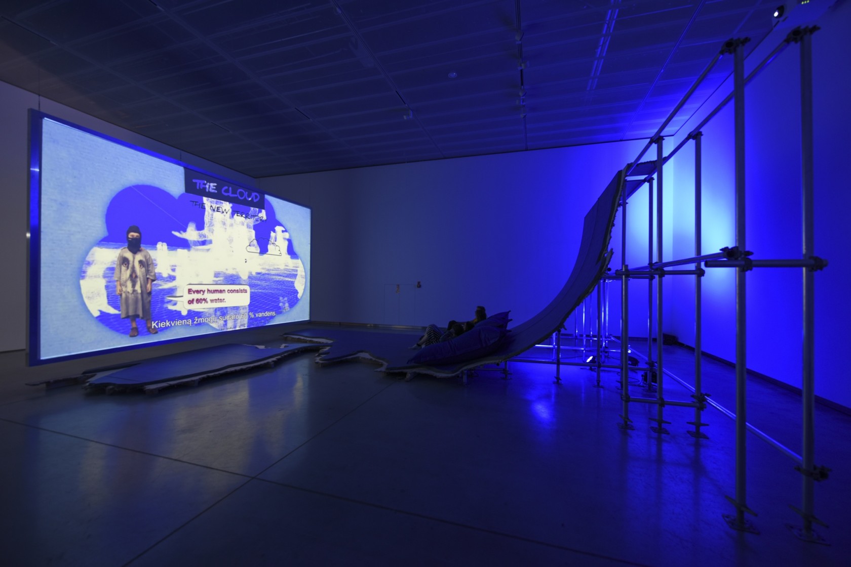 Liquidity Inc., 2014 HD video file, single channel in architectural environment Duration: 30 minutes, 15 seconds Exhibition view: Animal –...