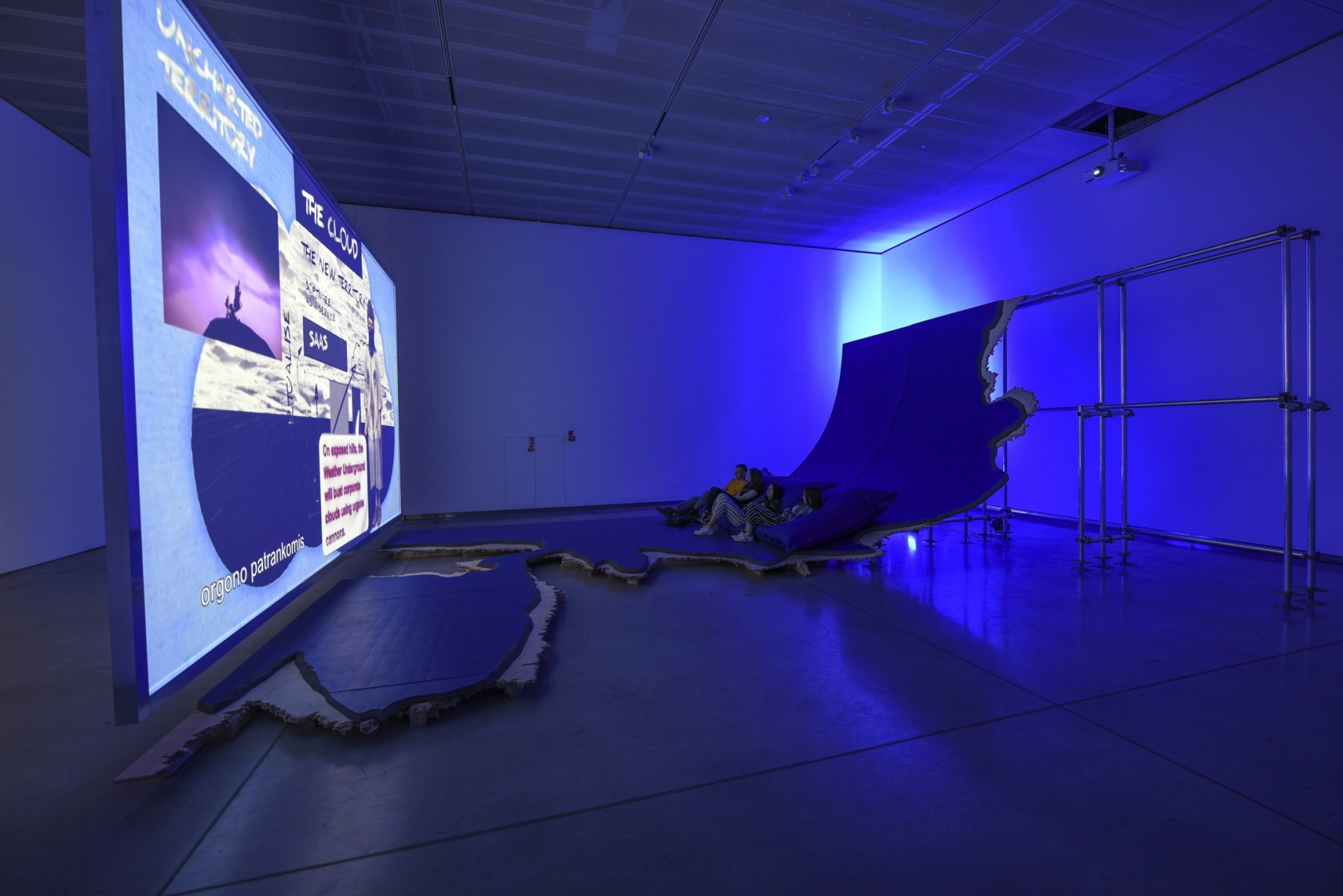 Liquidity Inc., 2014 HD video file, single channel in architectural environment Duration: 30 minutes, 15 seconds Exhibition view: Animal –...