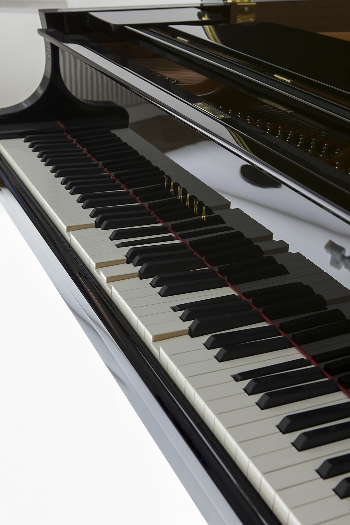 Quasi Objects: My Room is a Fish Bowl, AC/DC Snakes, Happy Ending, Il Tempo del Postino, Opalescent acrylic glass podium,...